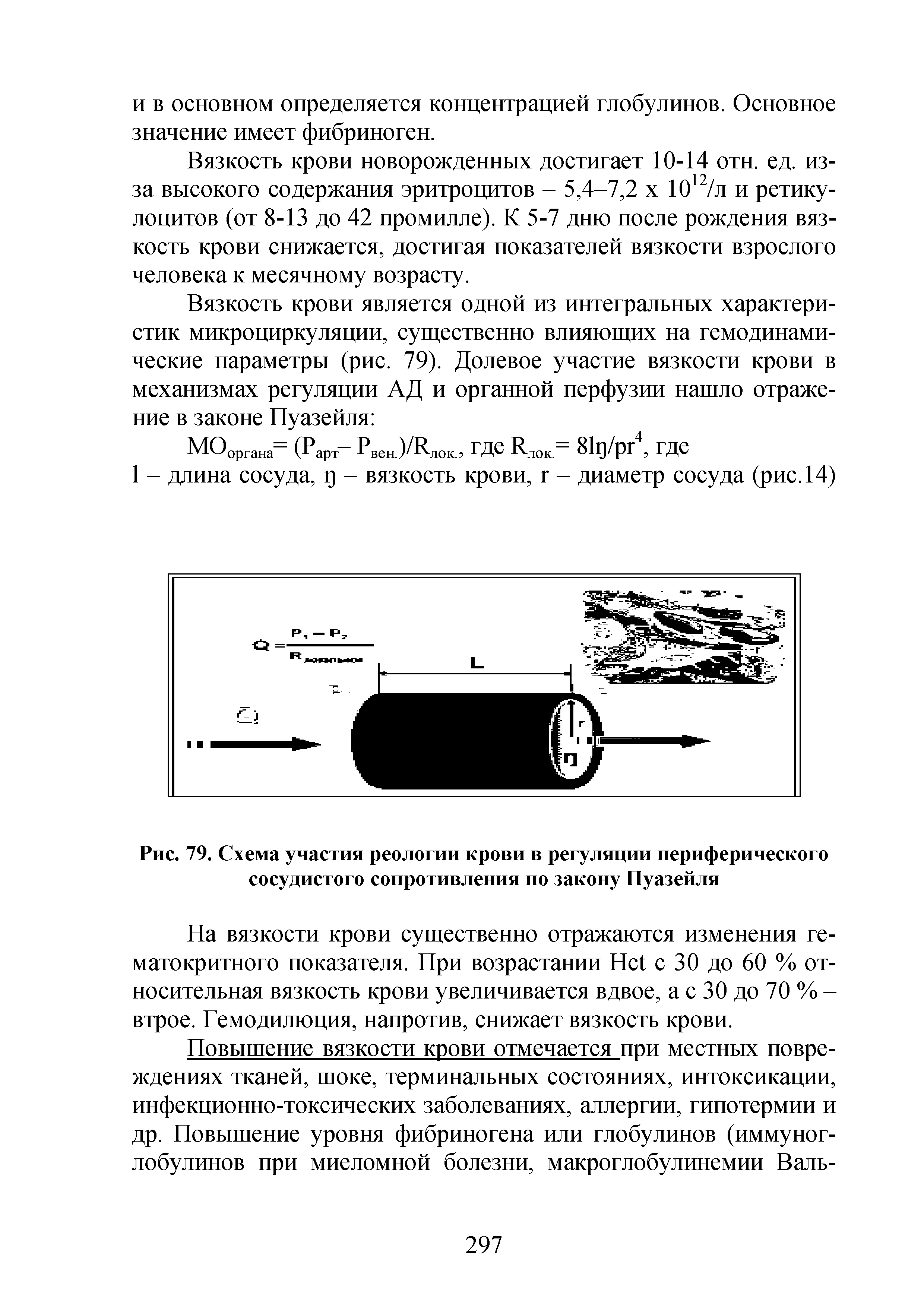Рис. 79. Схема участия реологии крови в регуляции периферического сосудистого сопротивления по закону Пуазейля...