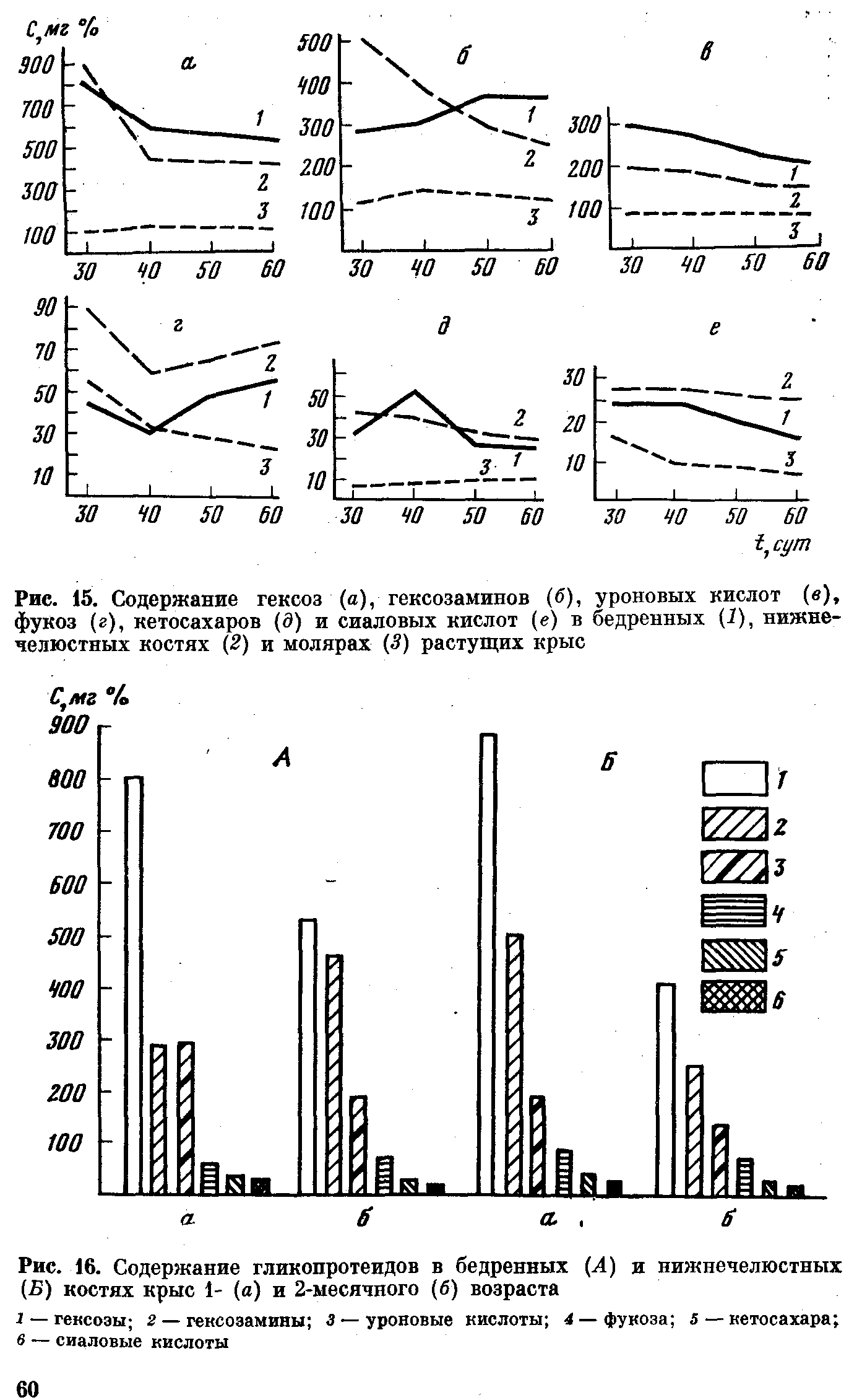 Рис. 15. Содержание гексоз (я), гексозаминов (б), уроновых кислот (в), фукоз (г), кетосахаров (д) и сиаловых кислот (е) в бедренных (1), нижнечелюстных костях (2) и молярах ( ) растущих крыс...