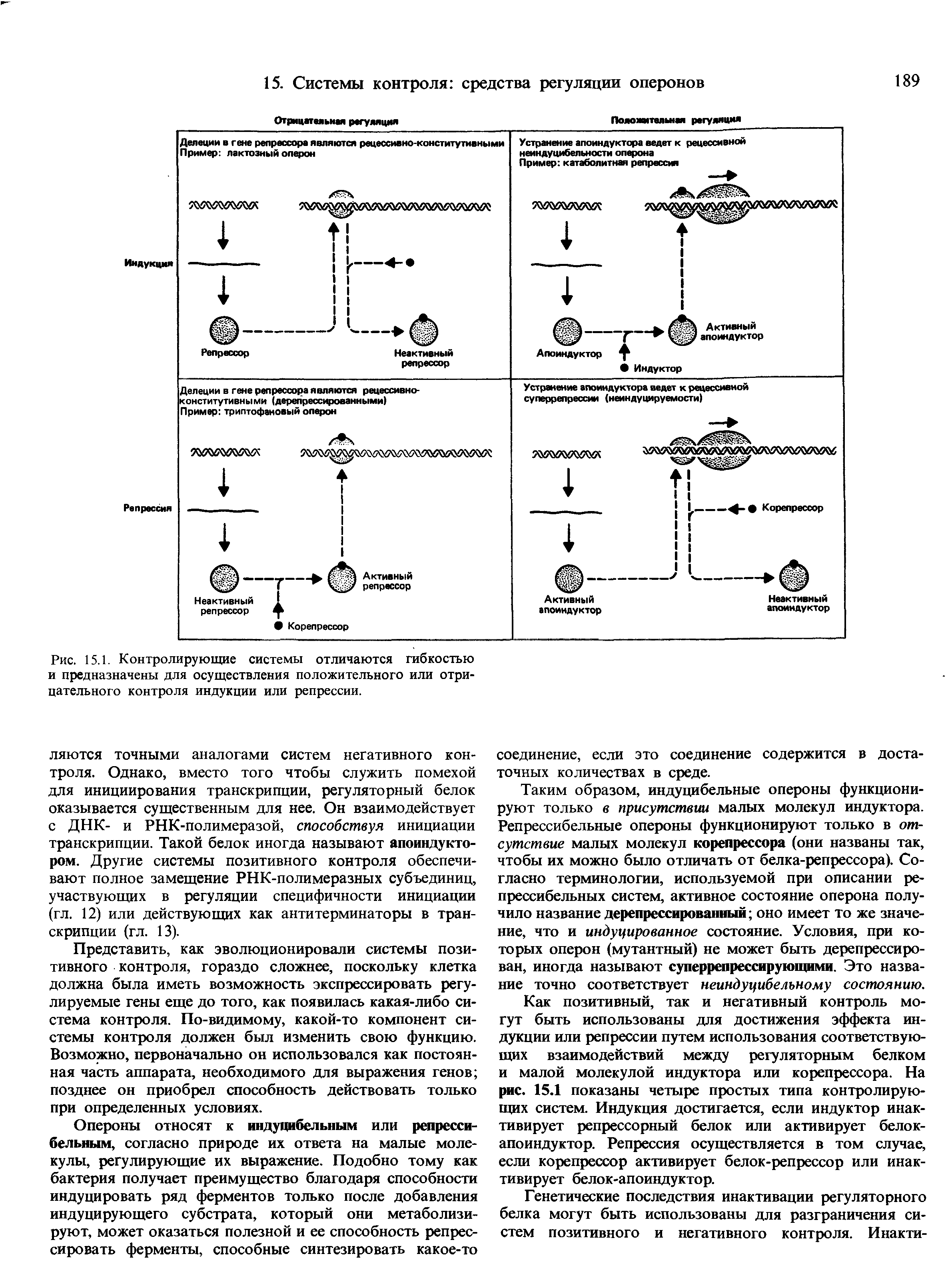 Рис. 15.1. Контролирующие системы отличаются гибкостью и предназначены для осуществления положительного или отрицательного контроля индукции или репрессии.