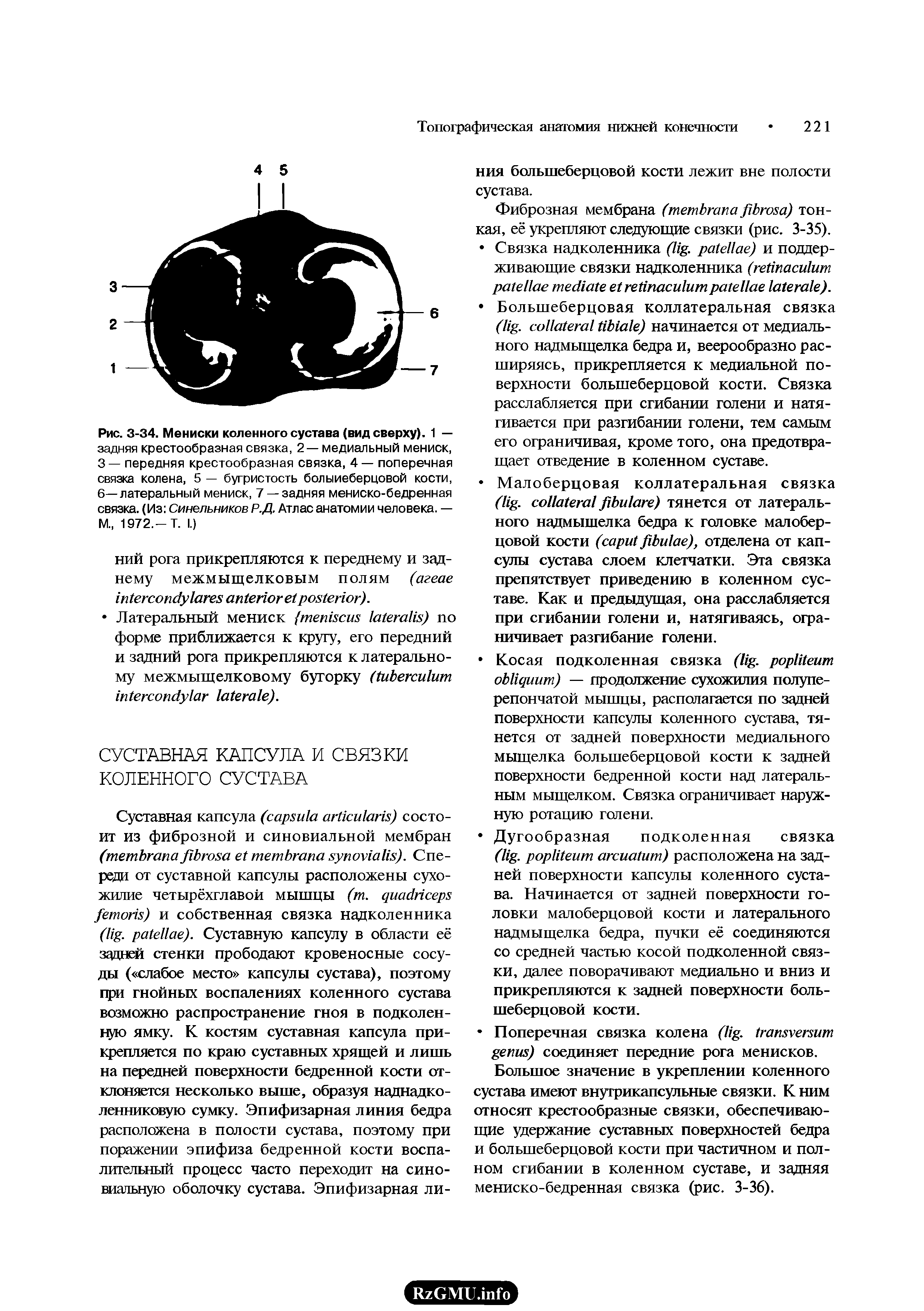 Рис. 3-34. Мениски коленного сустава (вид сверху). 1 — задняя крестообразная связка, 2 — медиальный мениск, 3— передняя крестообразная связка, 4— поперечная связка колена, 5 — бугристость болыиеберцовой кости, 6—латеральный мениск, 7 — задняя мениско-бедренная связка. (Из Синельников Р.Д. Атлас анатомии человека. — М 1972,-Т. I.)...