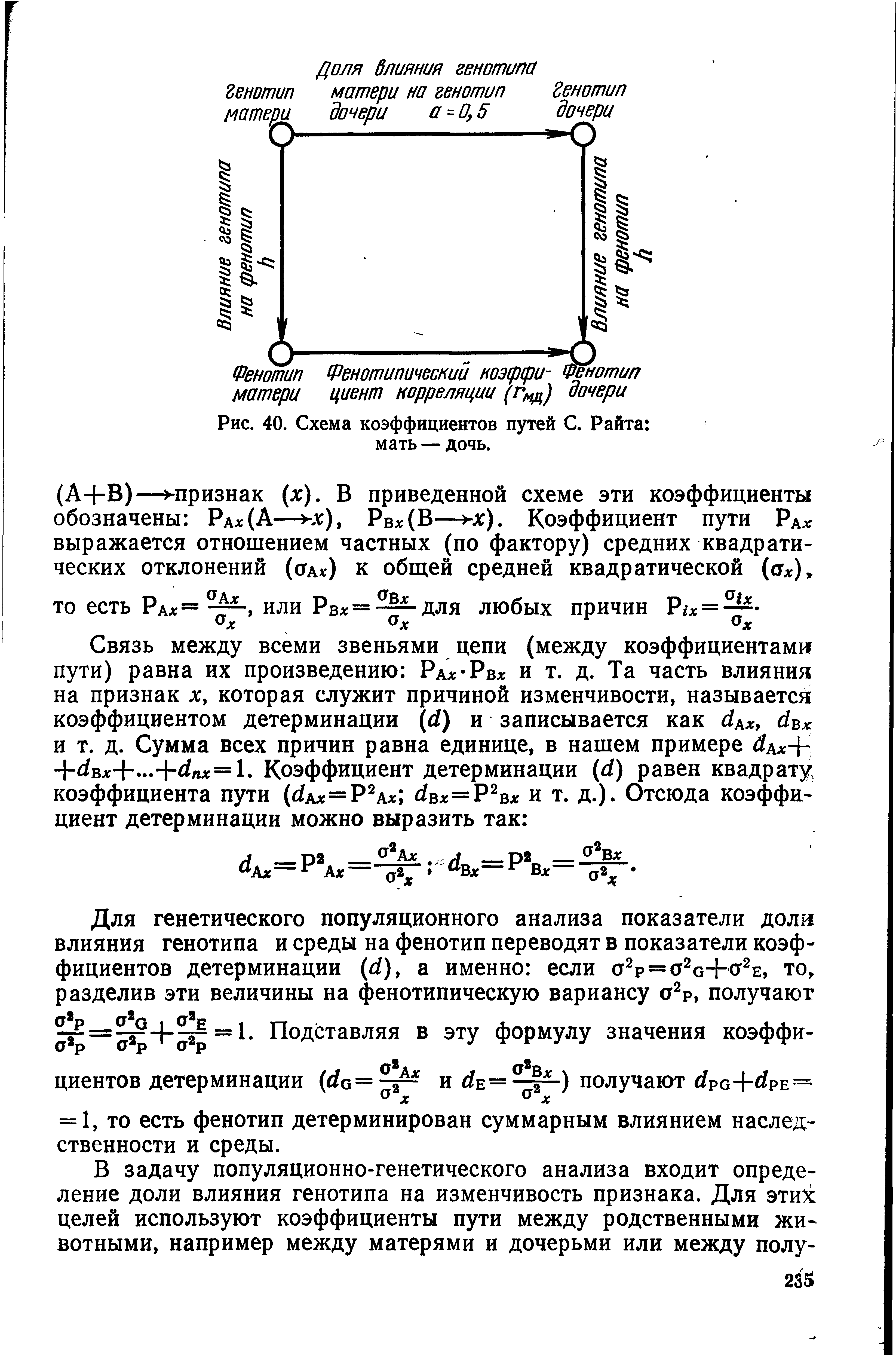 Рис. 40. Схема коэффициентов путей С. Райта мать — дочь.