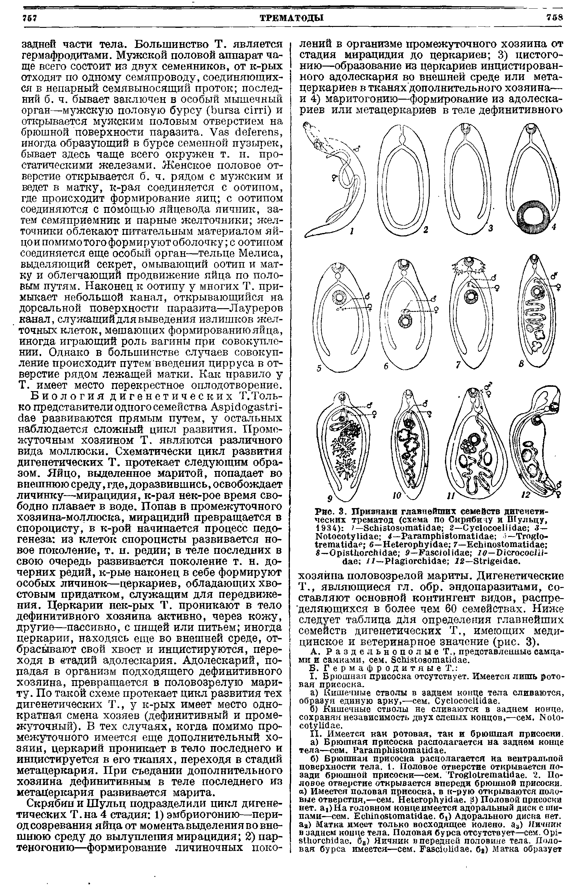 Рис. 3. Признаки главнейших семейств дигенетических трематод (схема по Скрябину и Шульцу, 1934) >— S 2—C з— N 4—P > — T - 6—H 7—E S—O 9—F 19—D - 11—P 12—S .