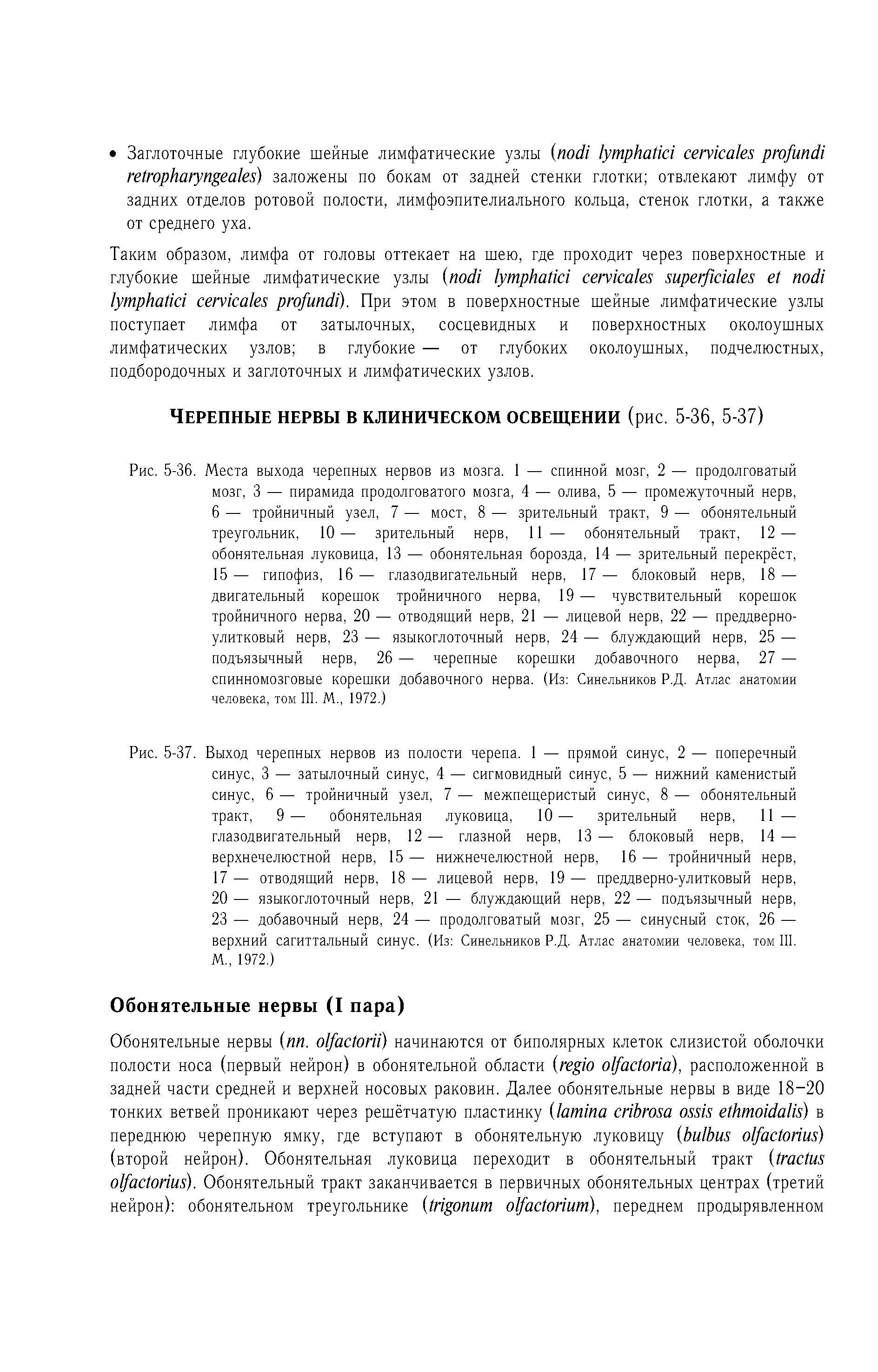 Рис. 5-37. Выход черепных нервов из полости черепа. 1 — прямой синус, 2 — поперечный синус, 3 — затылочный синус, 4 — сигмовидный синус, 5 — нижний каменистый синус, 6 — тройничный узел, 7 — межпещеристый синус, 8 — обонятельный тракт, 9— обонятельная луковица, 10— зрительный нерв, 11 —...