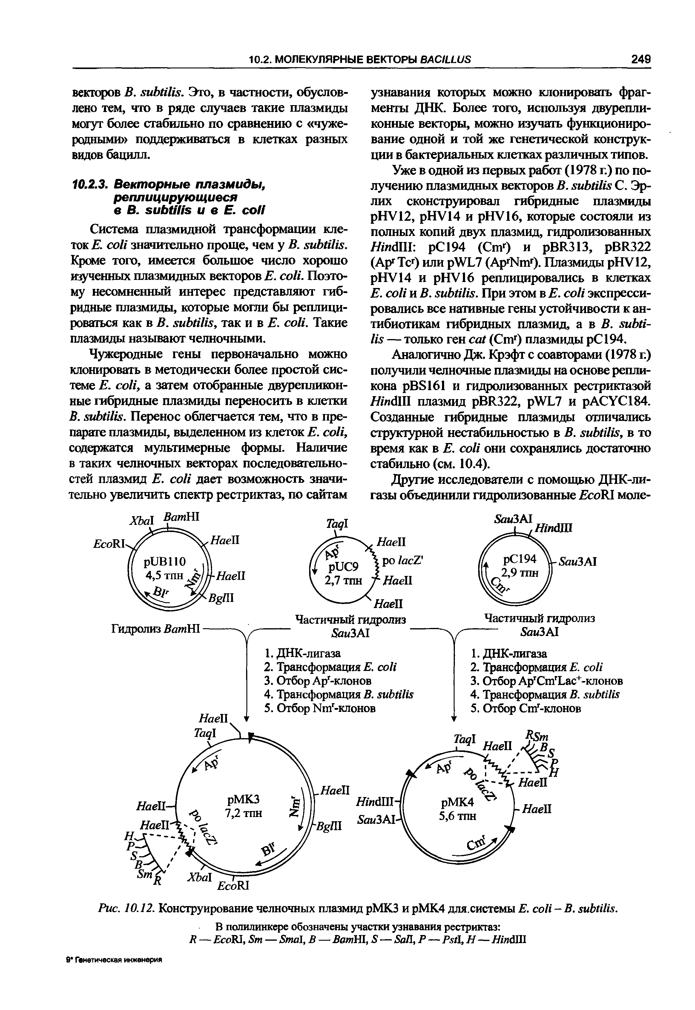 Рис. 10.12. Конструирование челночных плазмид рМКЗ и рМК4 для.системы Е. - В. . В полилинкере обозначены участки узнавания рестриктаз ...