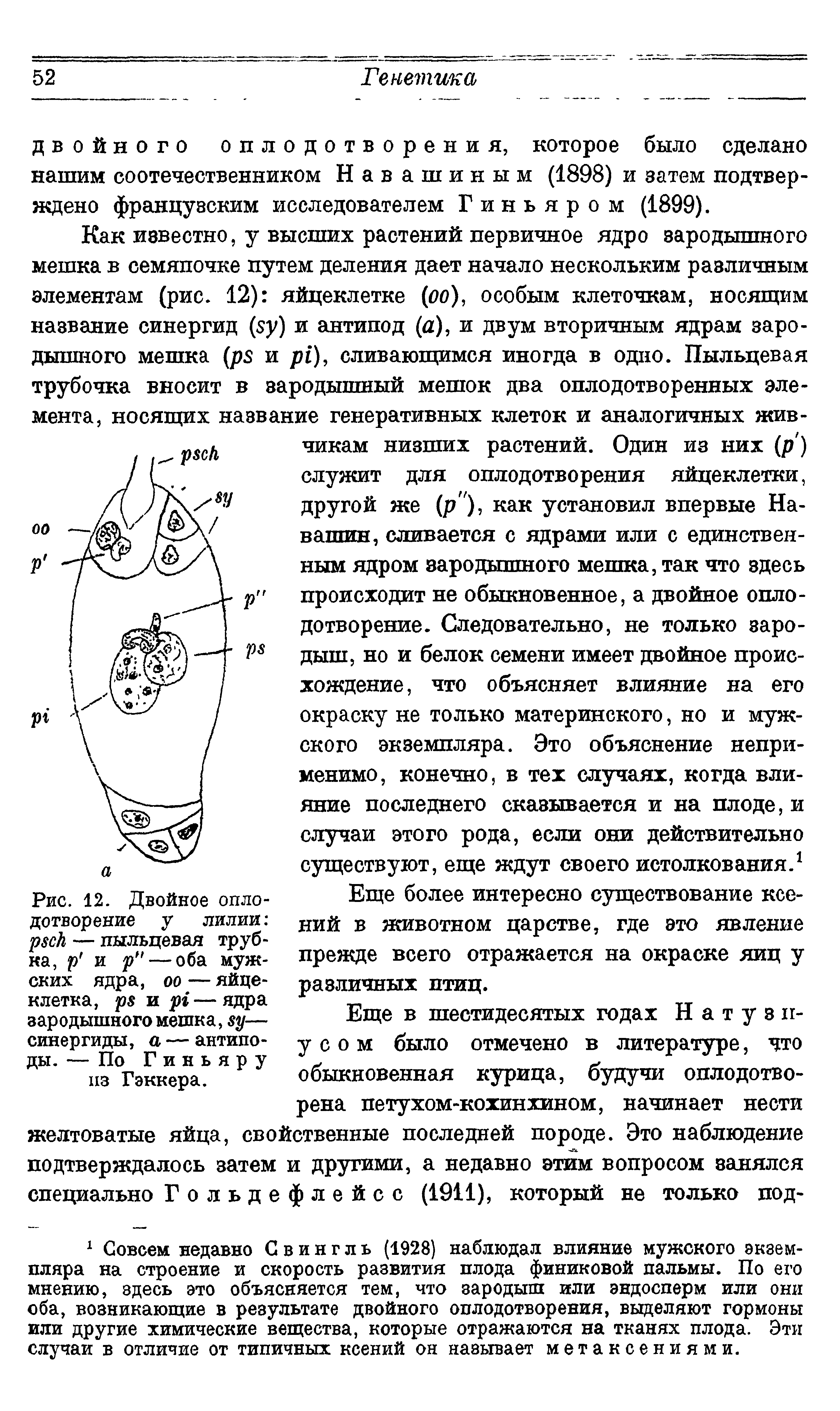 Рис. 12. Двойное оплодотворение у лилии р ск — пыльцевая трубка, р и р"— оба мужских ядра, оо — яйцеклетка, ре и р —ядра зародыпшого мешка, зу— синергиды, а — антиподы. — По Гиньяру из Гэккера.