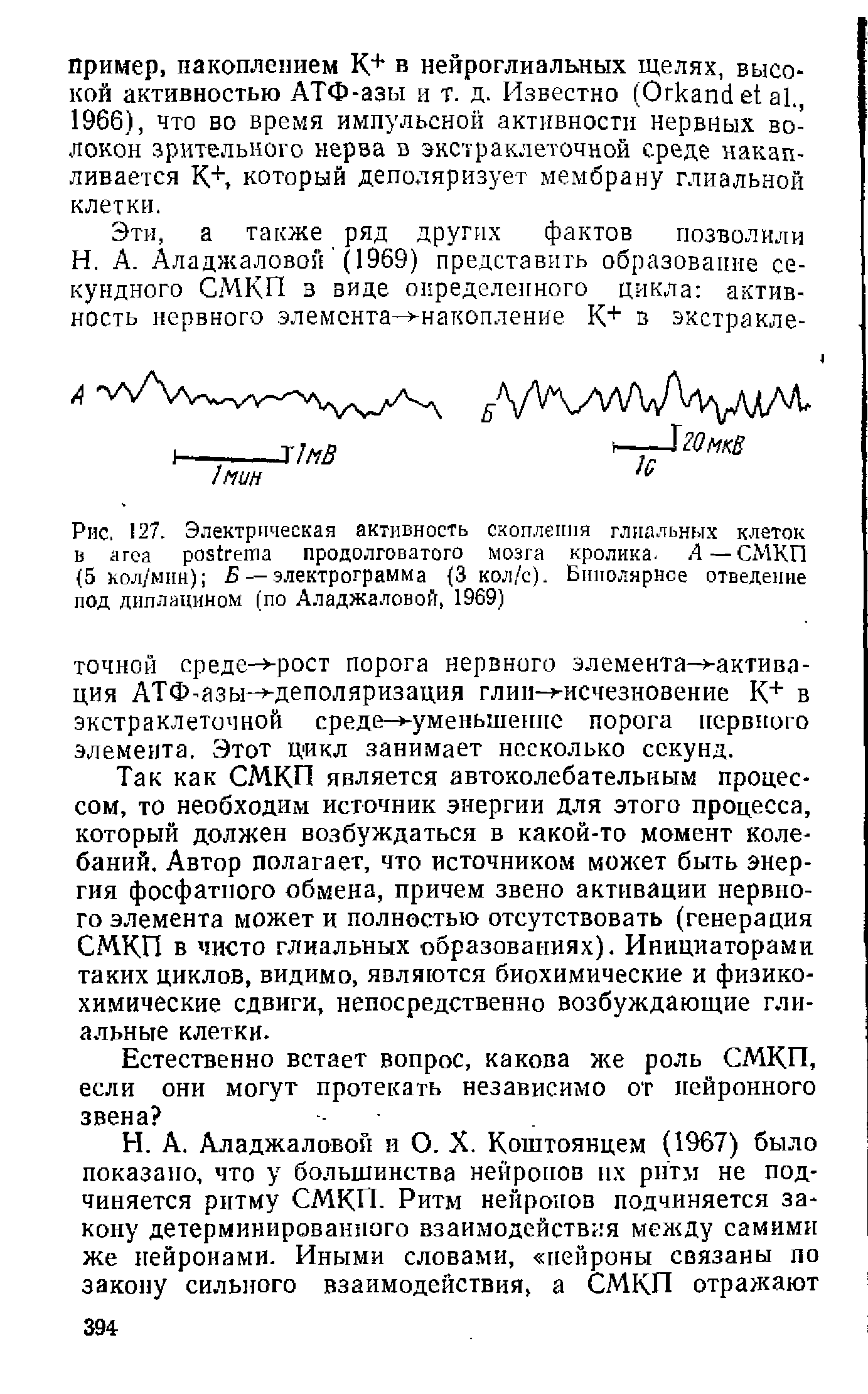 Рис. 127. Электрическая активность скопления глиальных клеток в продолговатого мозга кролика. А—СМКП (5 кол/мин) Б — электрограмма (3 км/с). Биполярное отведение под диплацином (по Аладжаловой, 1969)...