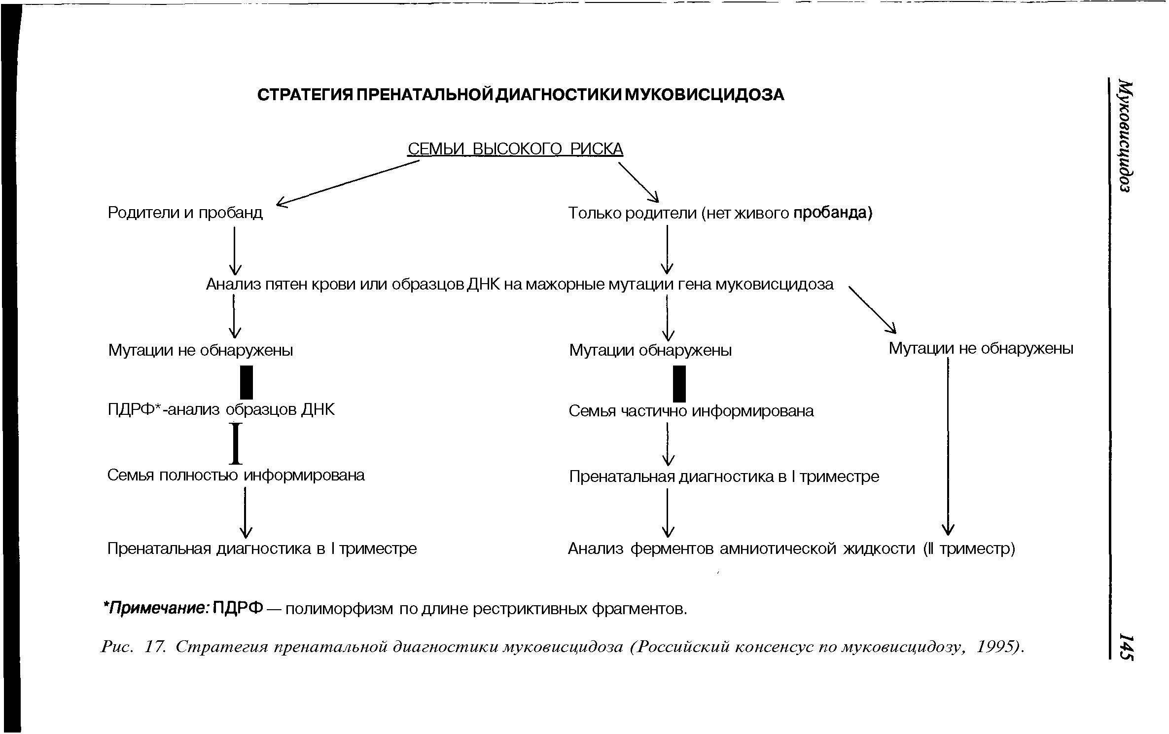 Рис. 17. Стратегия пренатальной диагностики муковисцидоза (Российский консенсус по муковисцидозу, 1995).
