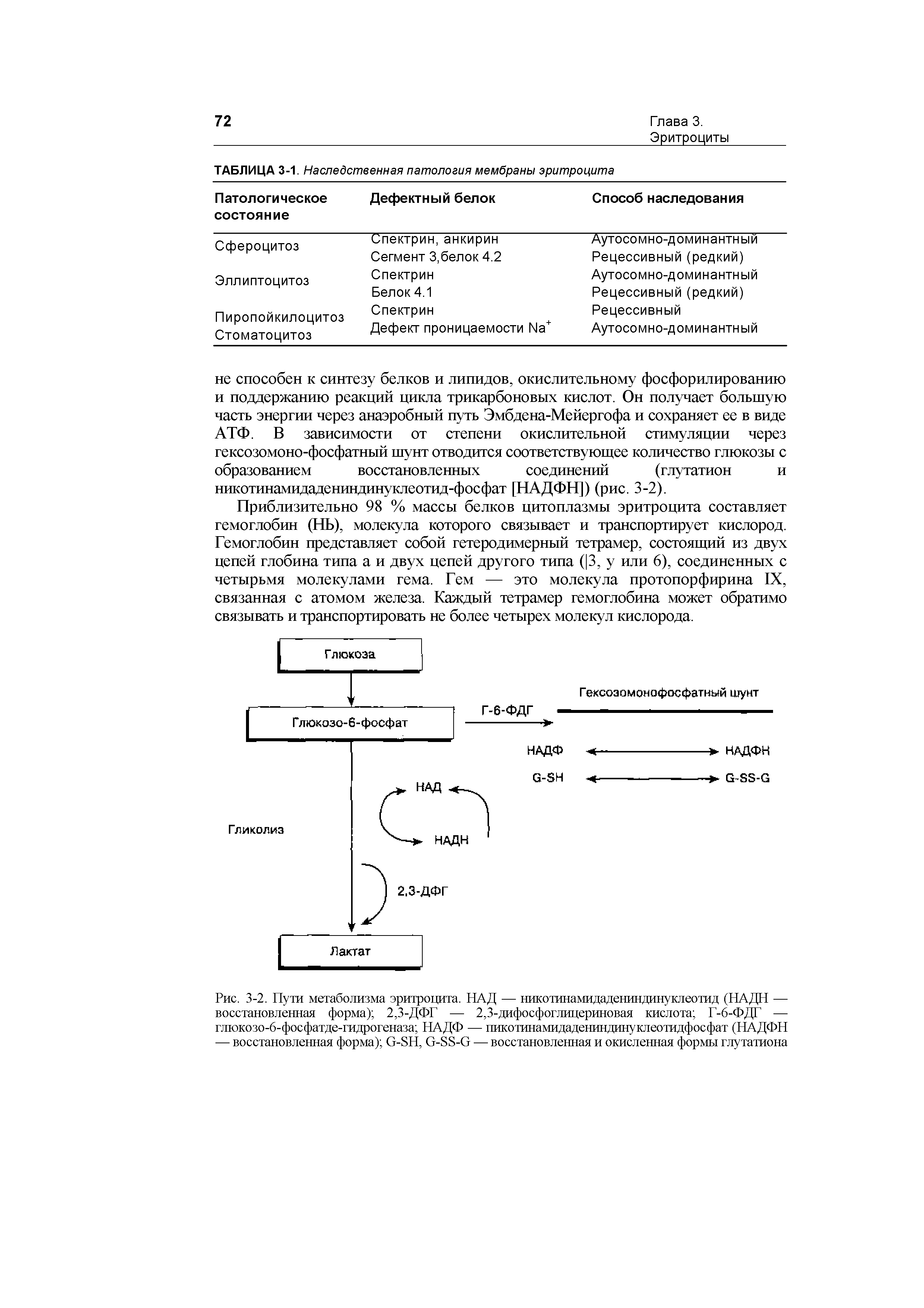 Рис. 3-2. Пути метаболизма эритроцита. НАД — никотинамидадениндинуклеотид (НАДН — восстановленная форма) 2,3-ДФГ — 2,3-дифосфоглицериновая кислота Г-6-ФДГ — глюкозо-6-фосфатде-гидрогеназа НАДФ — пикотинамидадениндинуклеотидфосфат (НАДФН — восстановленная форма) 0-311. 0-33-0 — восстановленная и окисленная формы глутатиона...