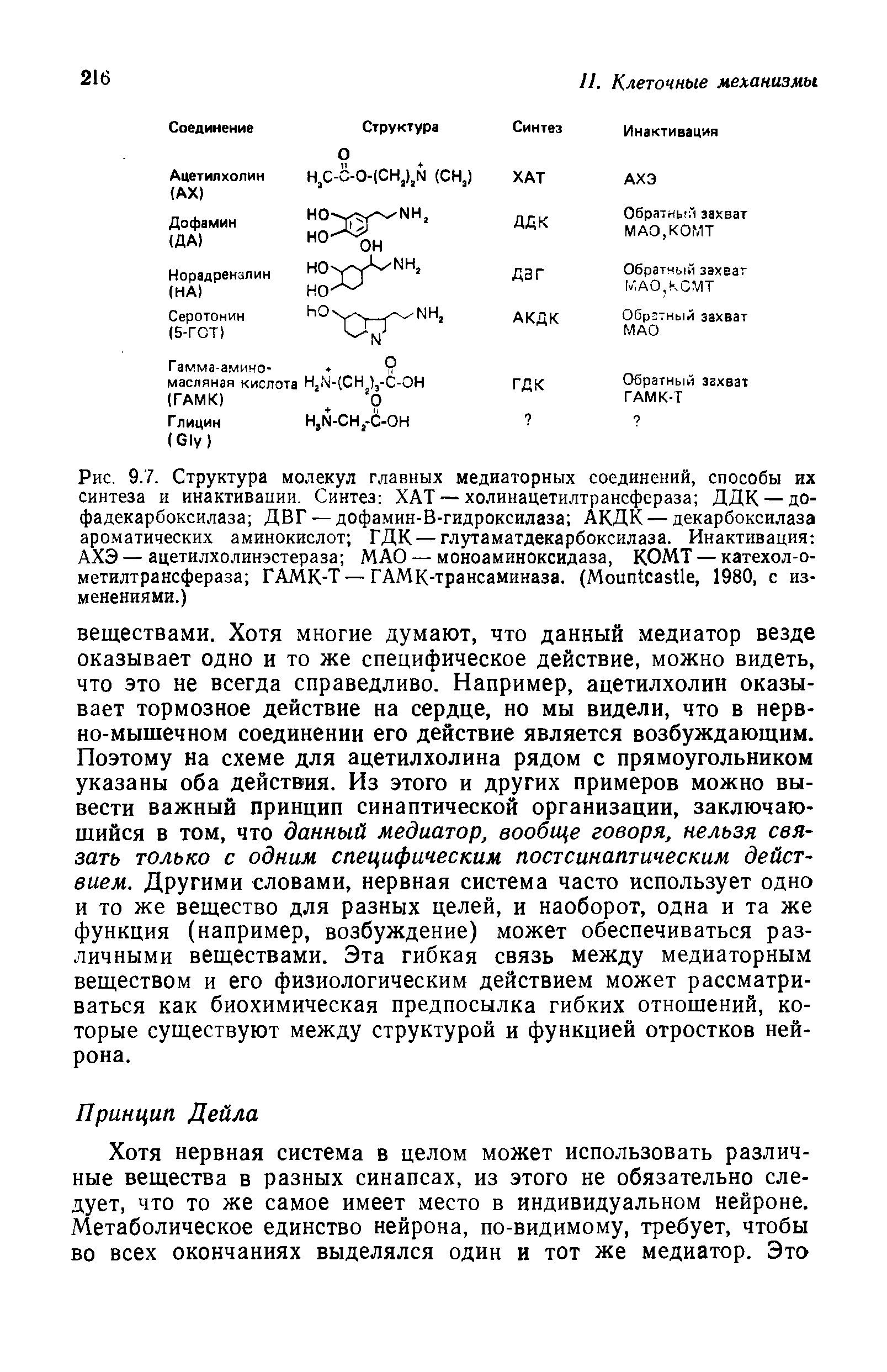 Рис. 9.7. Структура молекул главных медиаторных соединений, способы их синтеза и инактивации. Синтез ХАТ — холинацетилтрансфераза ДДК —до-фадекарбоксилаза ДВГ — дофамин-В-гидроксилаза АКДК— декарбоксилаза ароматических аминокислот ГДК — глутаматдекарбоксилаза. Инактивация АХЭ—ацетилхолинэстераза МАО — моноаминоксидаза, КОМТ — катехол-о-метилтрансфераза ГАМК-Т—ГАМК-трансаминаза. (Моип азИе, 1980, с изменениями.)...