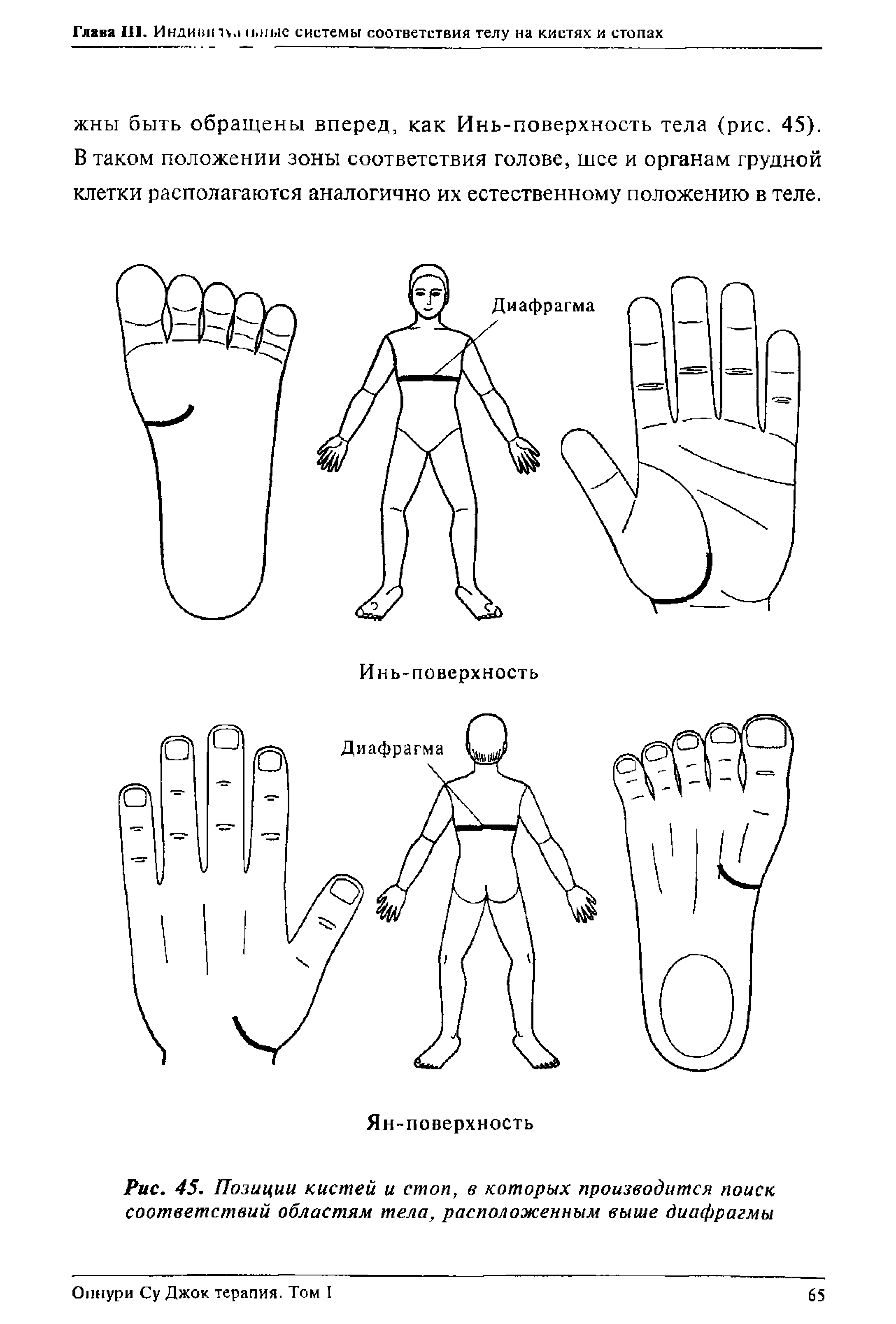 Рис. 45. Позиции кистей и стоп, в которых производится поиск соответствий областям тела, расположенным выше диафрагмы...