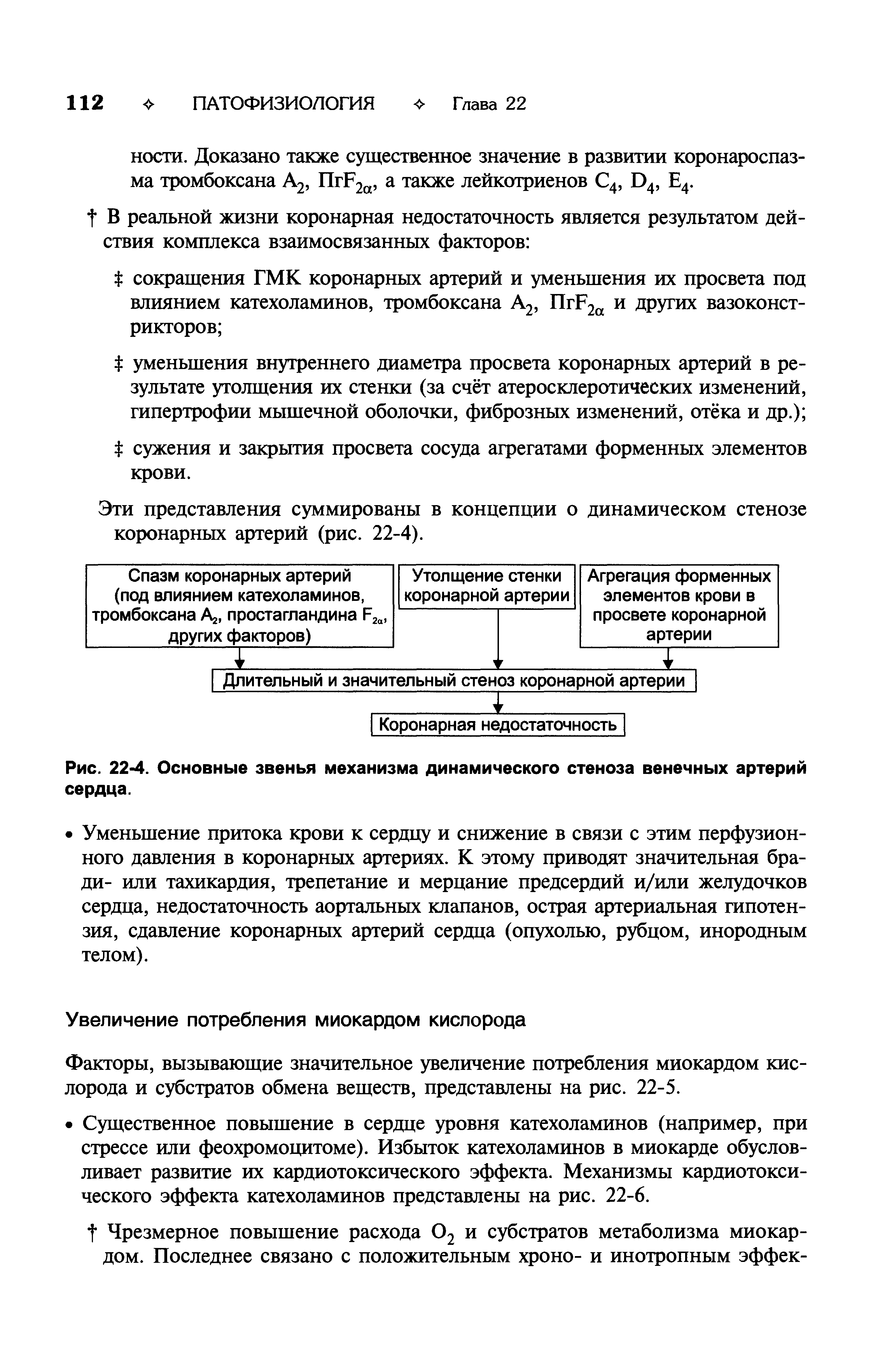Рис. 22-4. Основные звенья механизма динамического стеноза венечных артерий сердца.