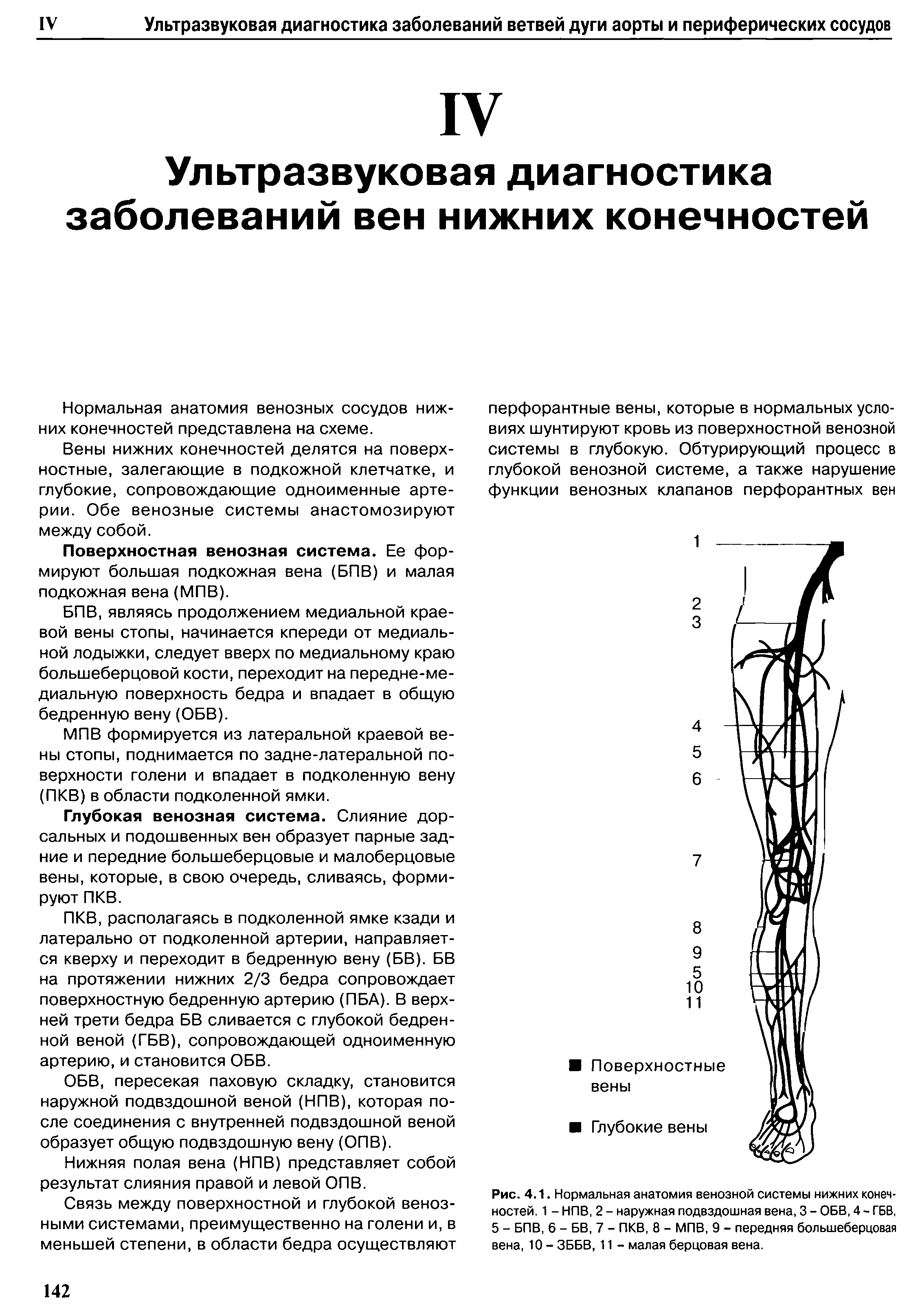 Рис. 4.1. Нормальная анатомия венозной системы нижних конечностей. 1 - НПВ, 2 - наружная подвздошная вена, 3 - ОБВ, 4 - ГБВ. 5 - БПВ, 6 - БВ, 7 - ПКВ, 8 - МПВ, 9 - передняя большеберцовая вена, 10 - ЗББВ, 11 - малая берцовая вена.