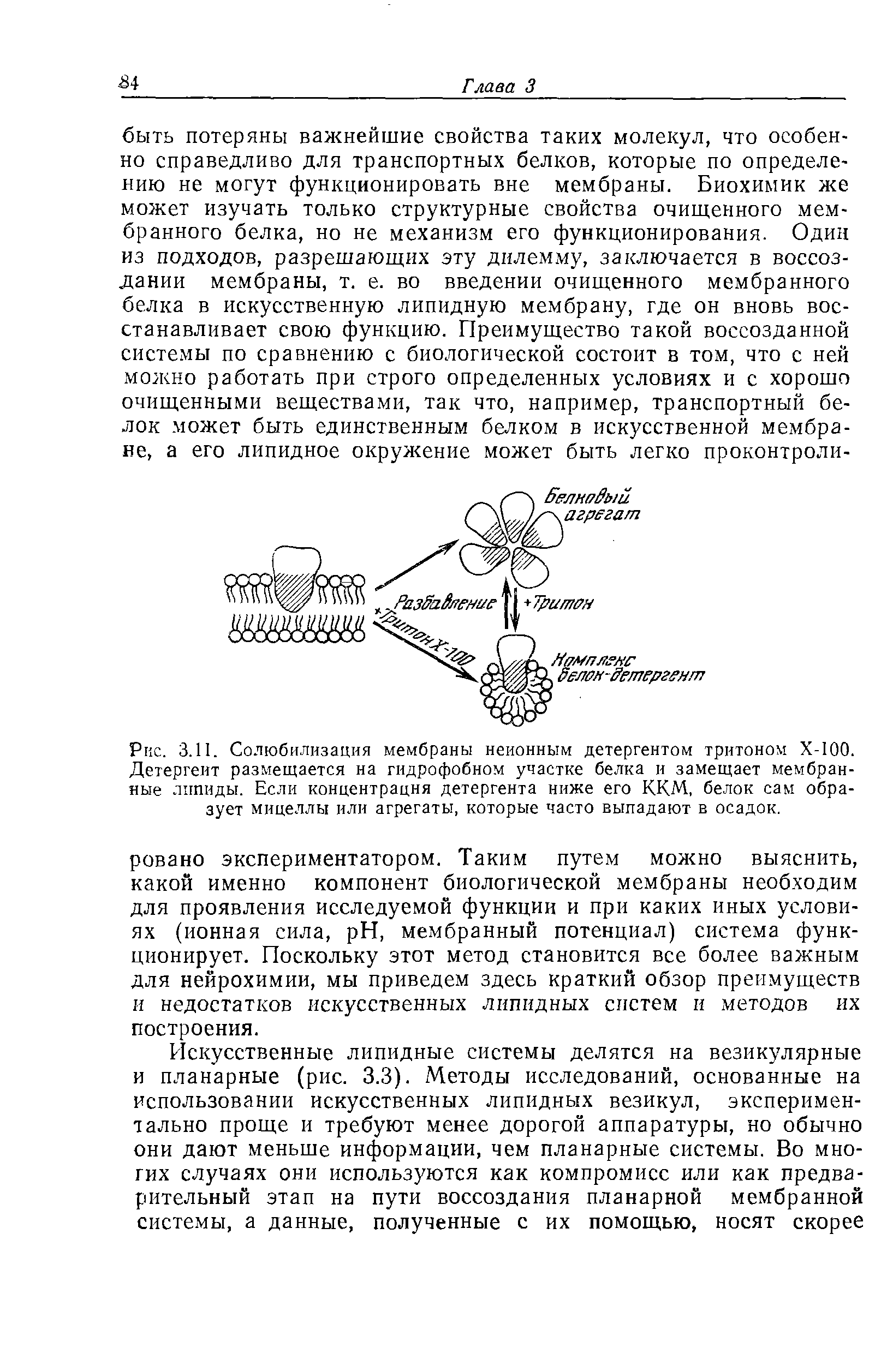 Рис. 3.11. Солюбилизация мембраны неионным детергентом тритоном Х-ЮО. Детергент размещается на гидрофобном участке белка и замещает мембранные липиды. Если концентрация детергента ниже его ККМ, белок сам образует мицеллы или агрегаты, которые часто выпадают в осадок.