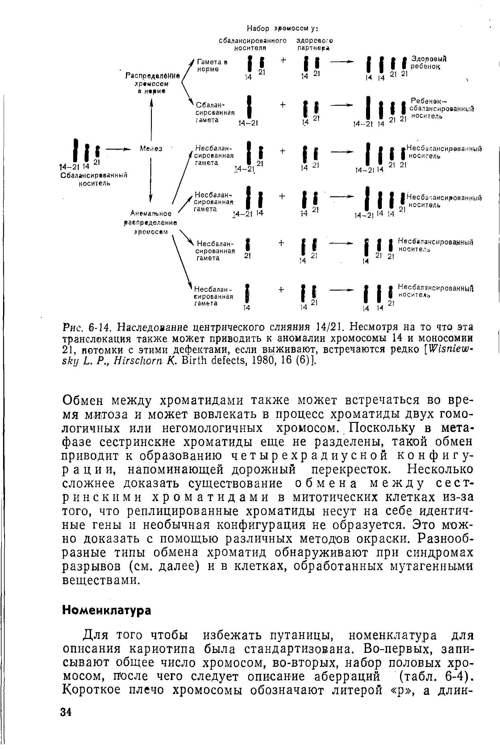 Рис. 6-14. Наследование центрического слияния 14/21. Несмотря на то что эта транслокация также может приводить к аномалии хромосомы 14 и моносомии 21, потомки с этими дефектами, если выживают, встречаются редко [W - L. Р H К. B , 1980, 16 (6)].