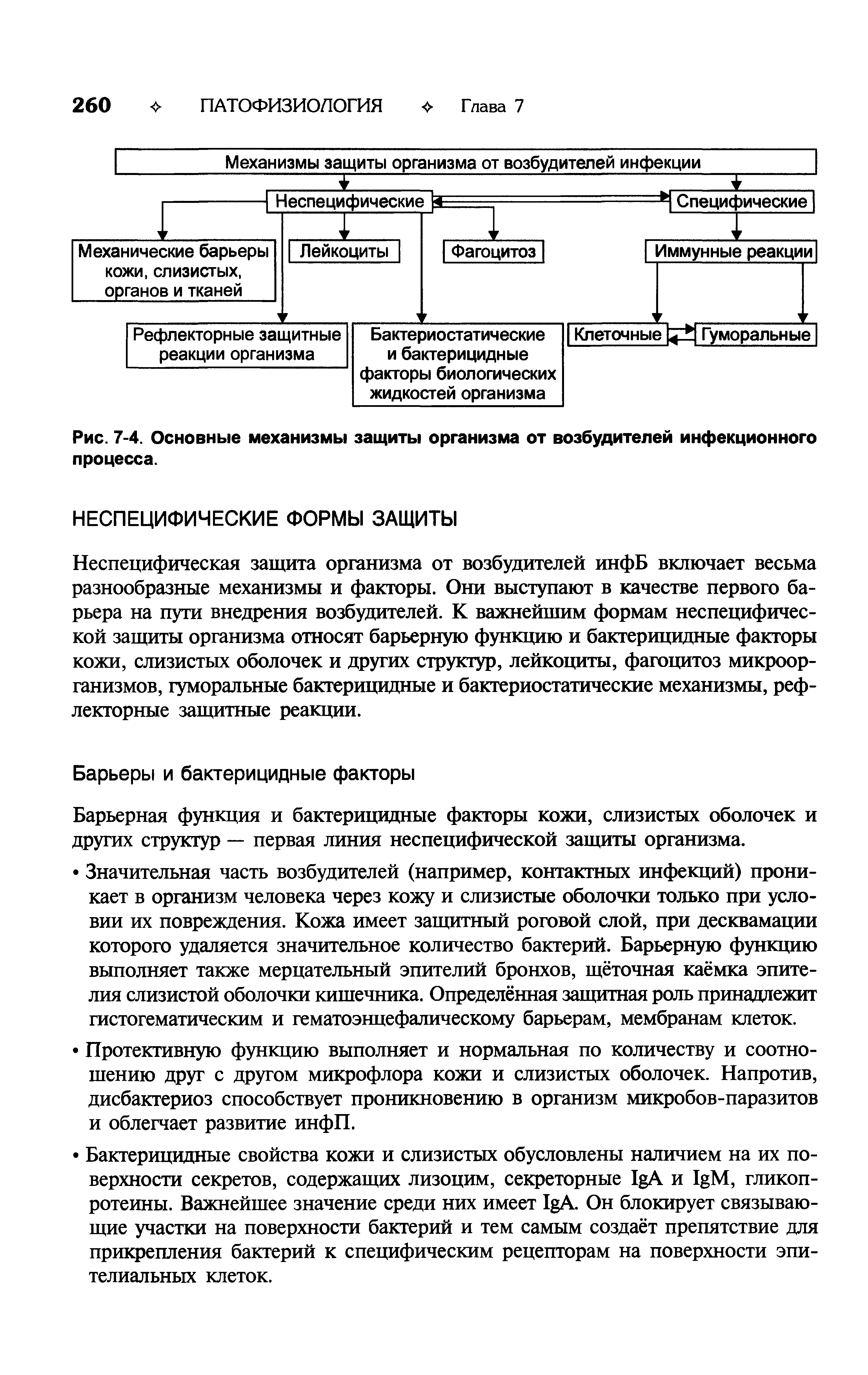 Рис. 7-4. Основные механизмы защиты организма от возбудителей инфекционного процесса.