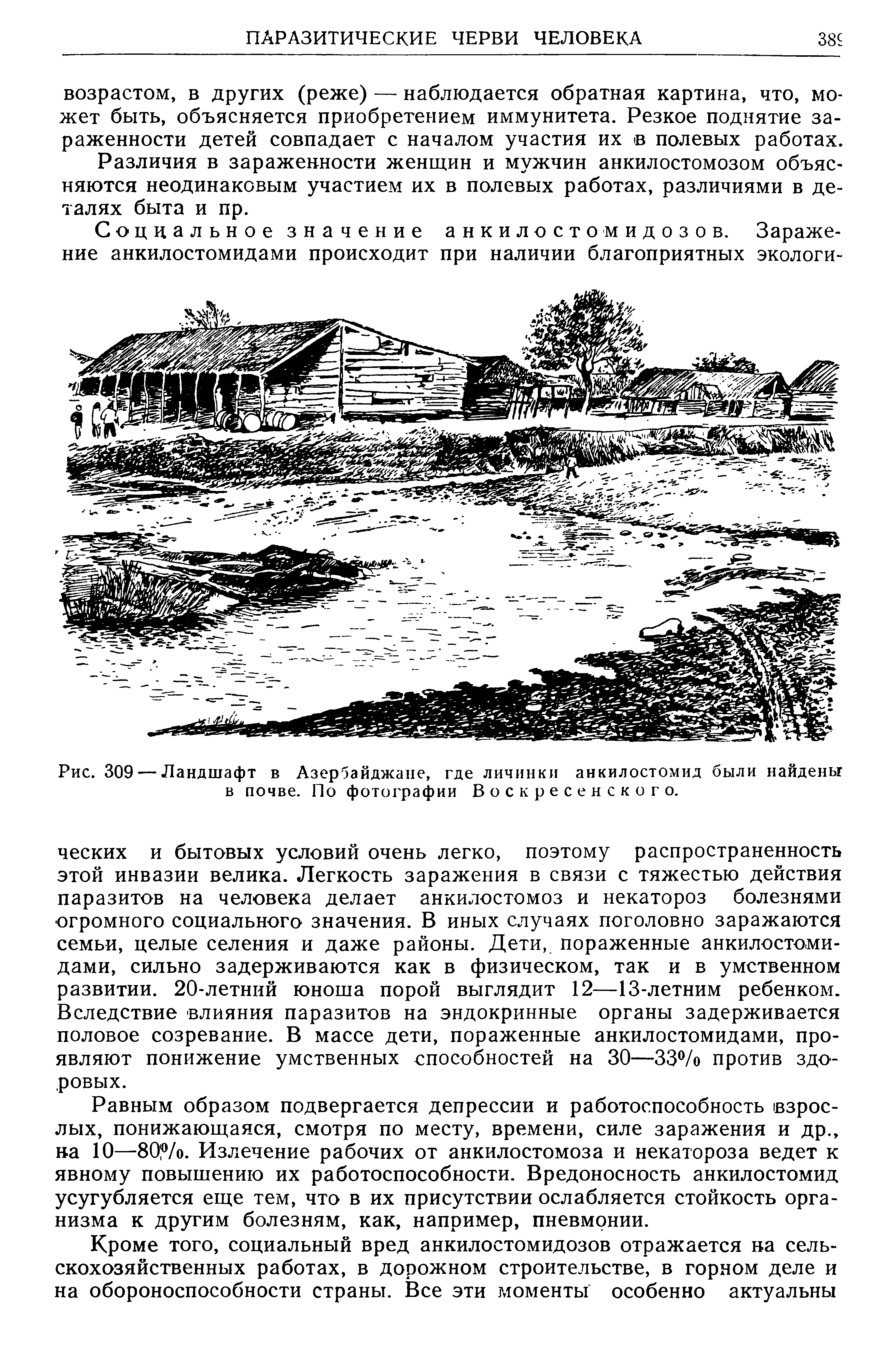 Рис. 309 — Ландшафт в Азербайджане, где личинки анкилостомид были найдены в почве. По фотографии Воскресенского.