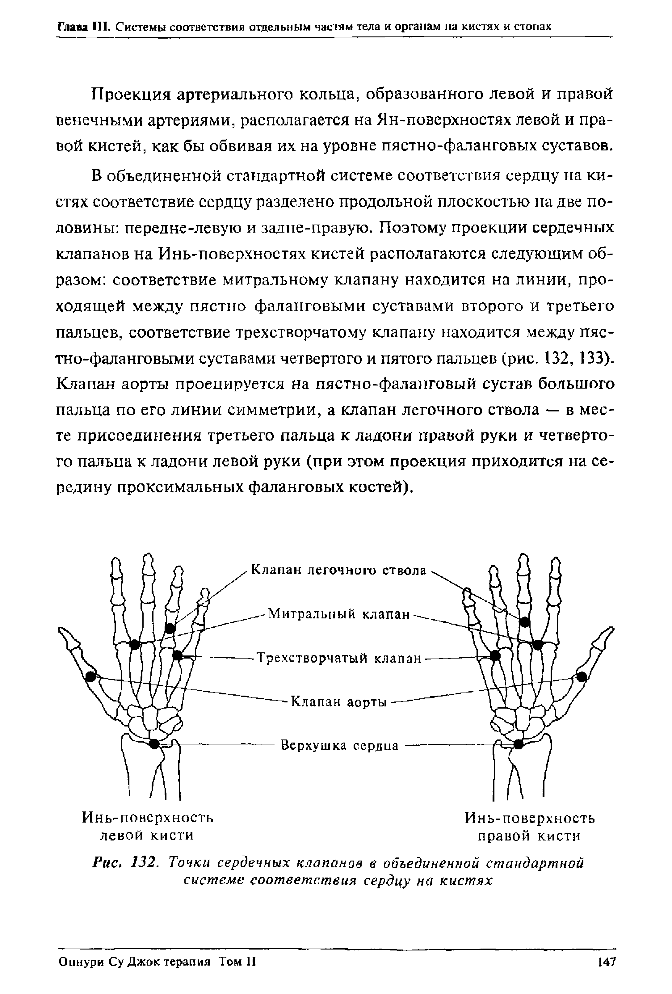 Рис. 132. Точки сердечных клапанов в объединенной стандартной системе соответствия сердцу на кистях...