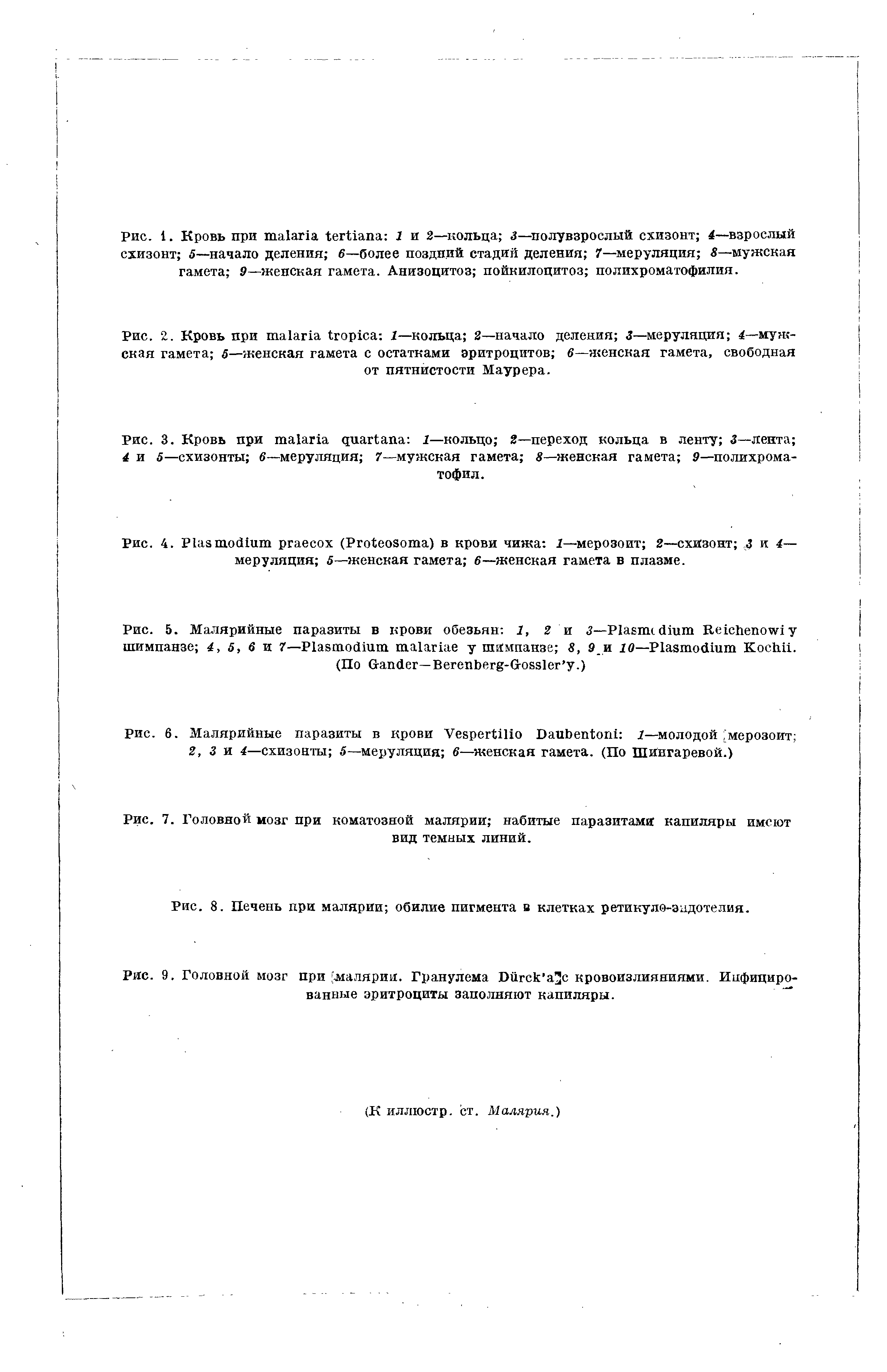 Рис. 5. Малярийные паразиты в крови обезьян 1, 2 и 3—P R шимпанзе 4, 5, 6 и 7—P у шимпанзе 8, 9 и 10—P K .