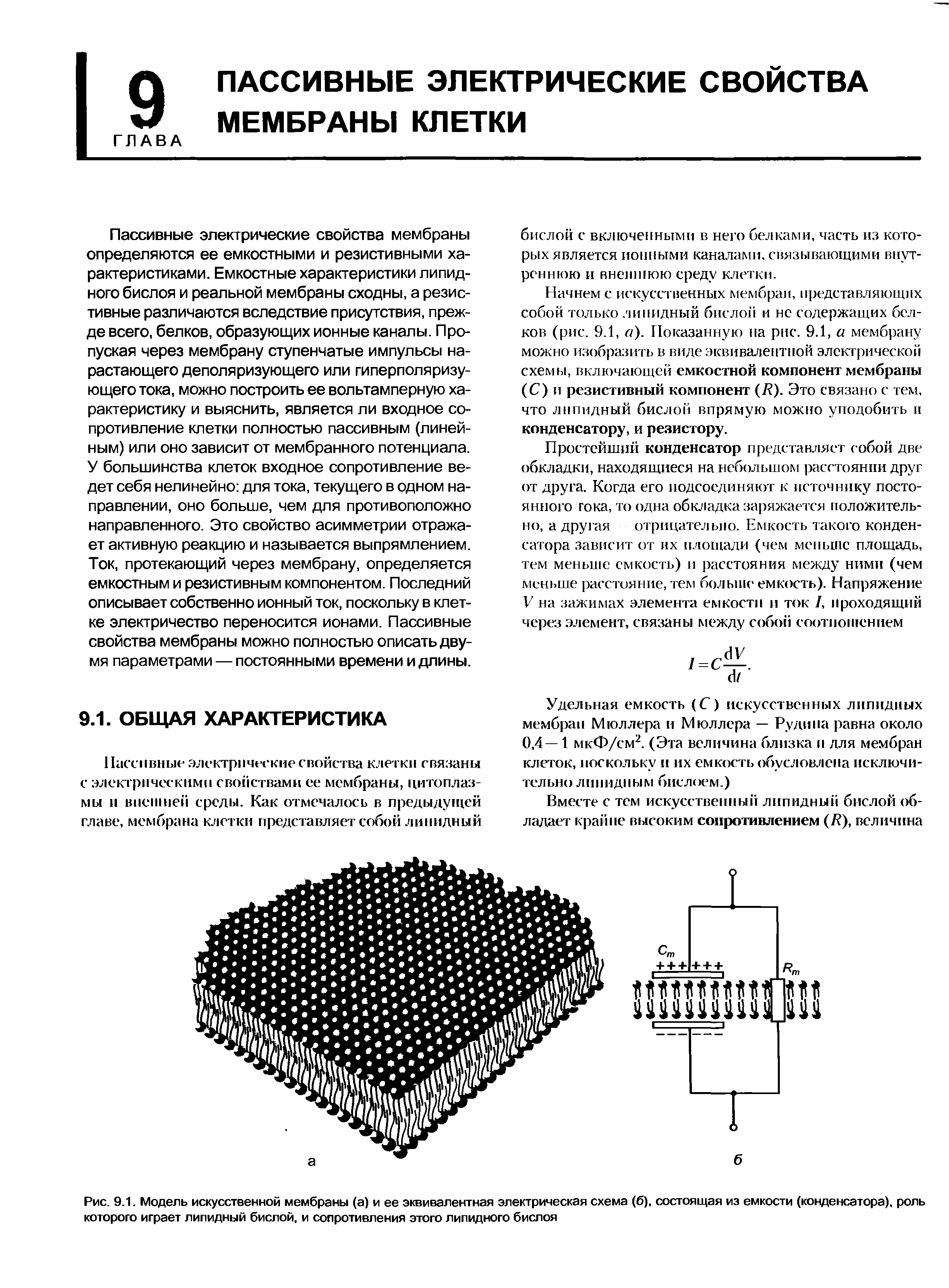 Рис. 9.1. Модель искусственной мембраны (а) и ее эквивалентная электрическая схема (б), состоящая из емкости (конденсатора), роль которого играет липидный бислой, и сопротивления этого липидного биспоя...