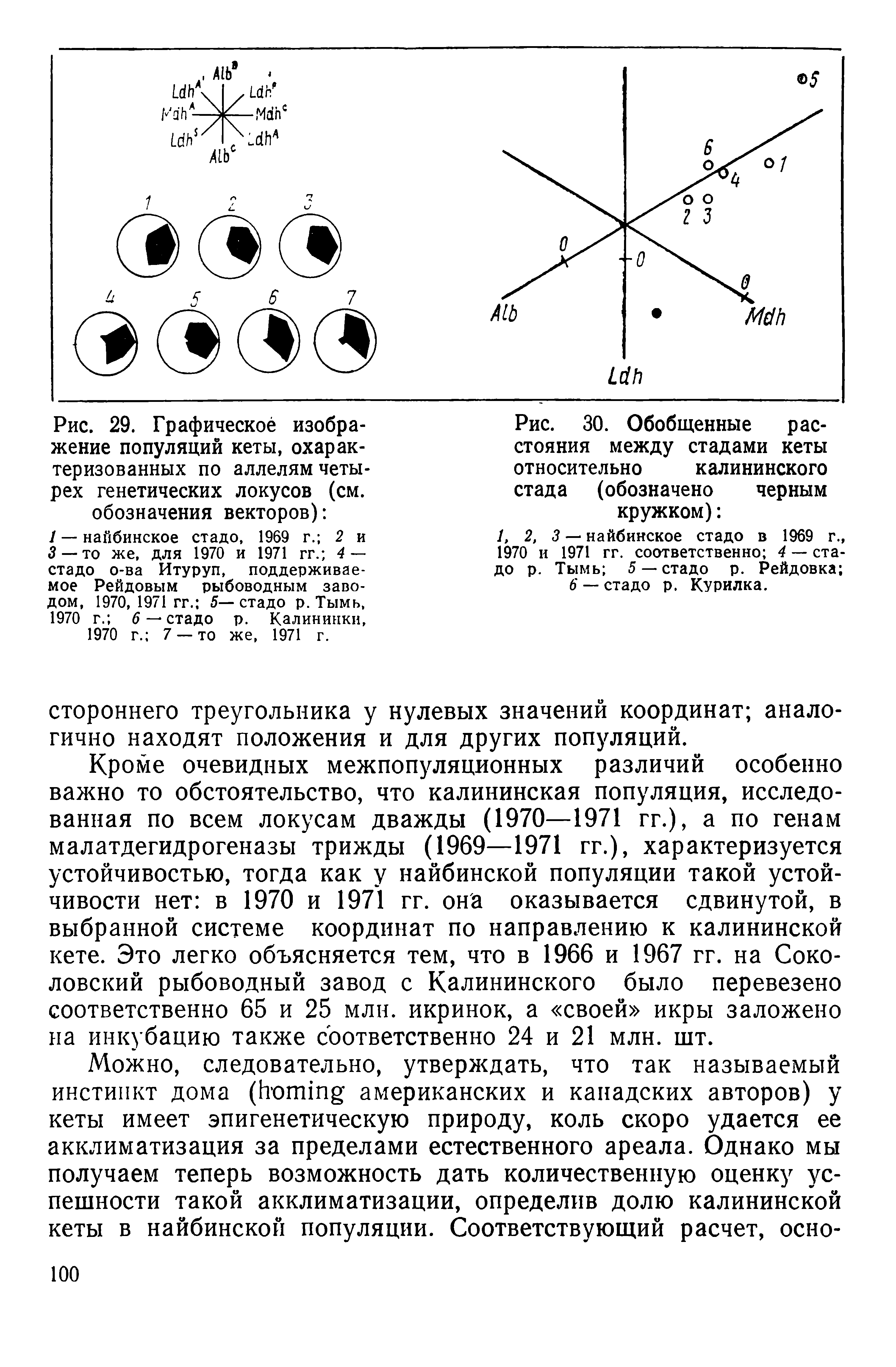 Рис. 29. Графическое изображение популяций кеты, охарактеризованных по аллелям четырех генетических локусов (см. обозначения векторов) ...