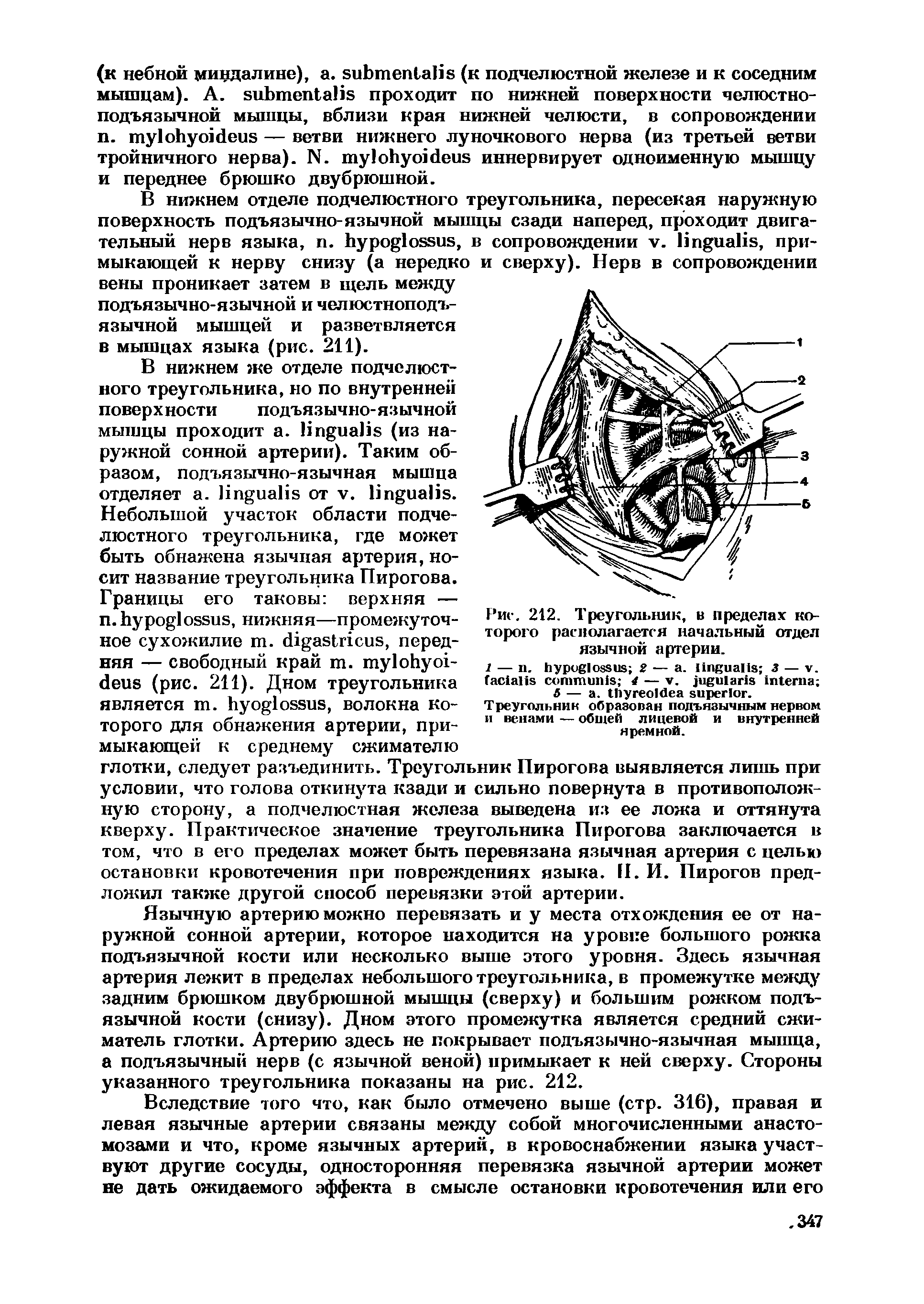 Рис. 212. Треугольник, торого располагается начальный отдел язычной артерии.