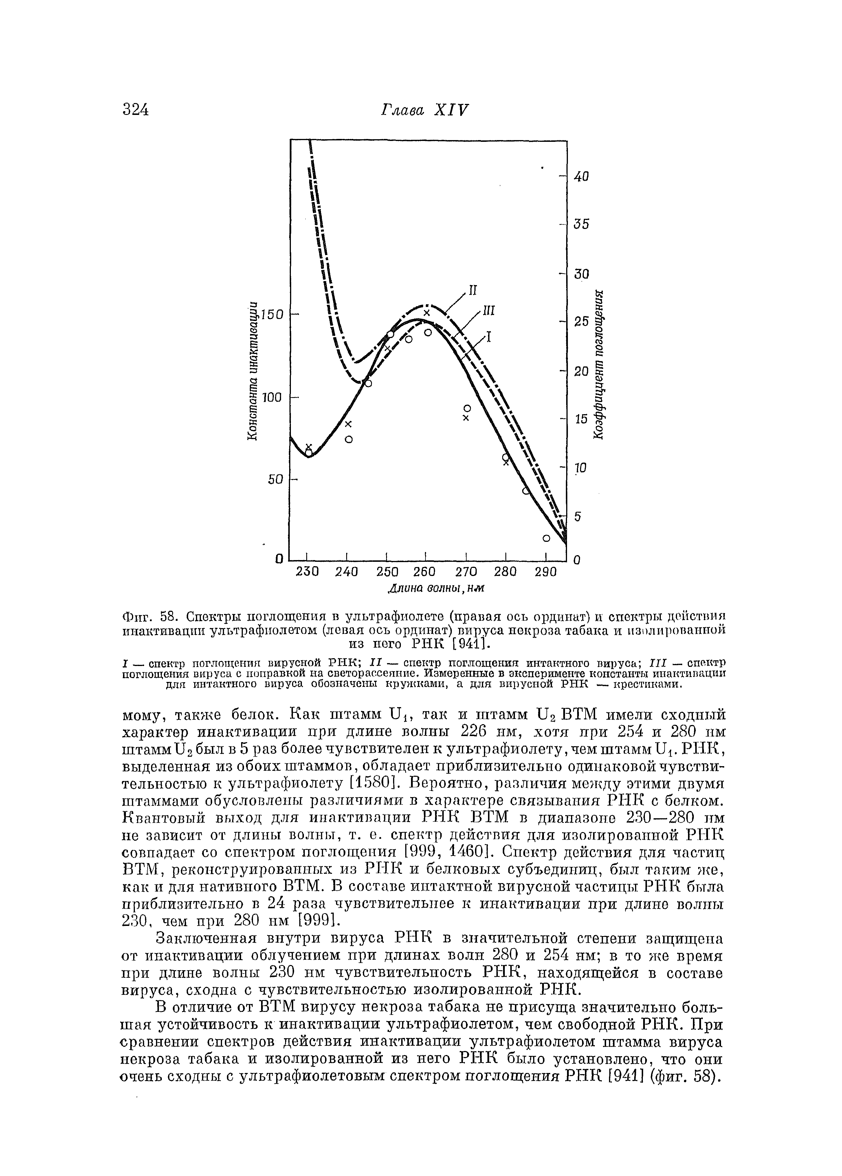 Фиг. 58. Спектры поглощения в ультрафиолете (правая ось ординат) и спектры действия инактивации ультрафиолетом (левая ось ординат) вируса некроза табака и изолированной из пего РНК [941].
