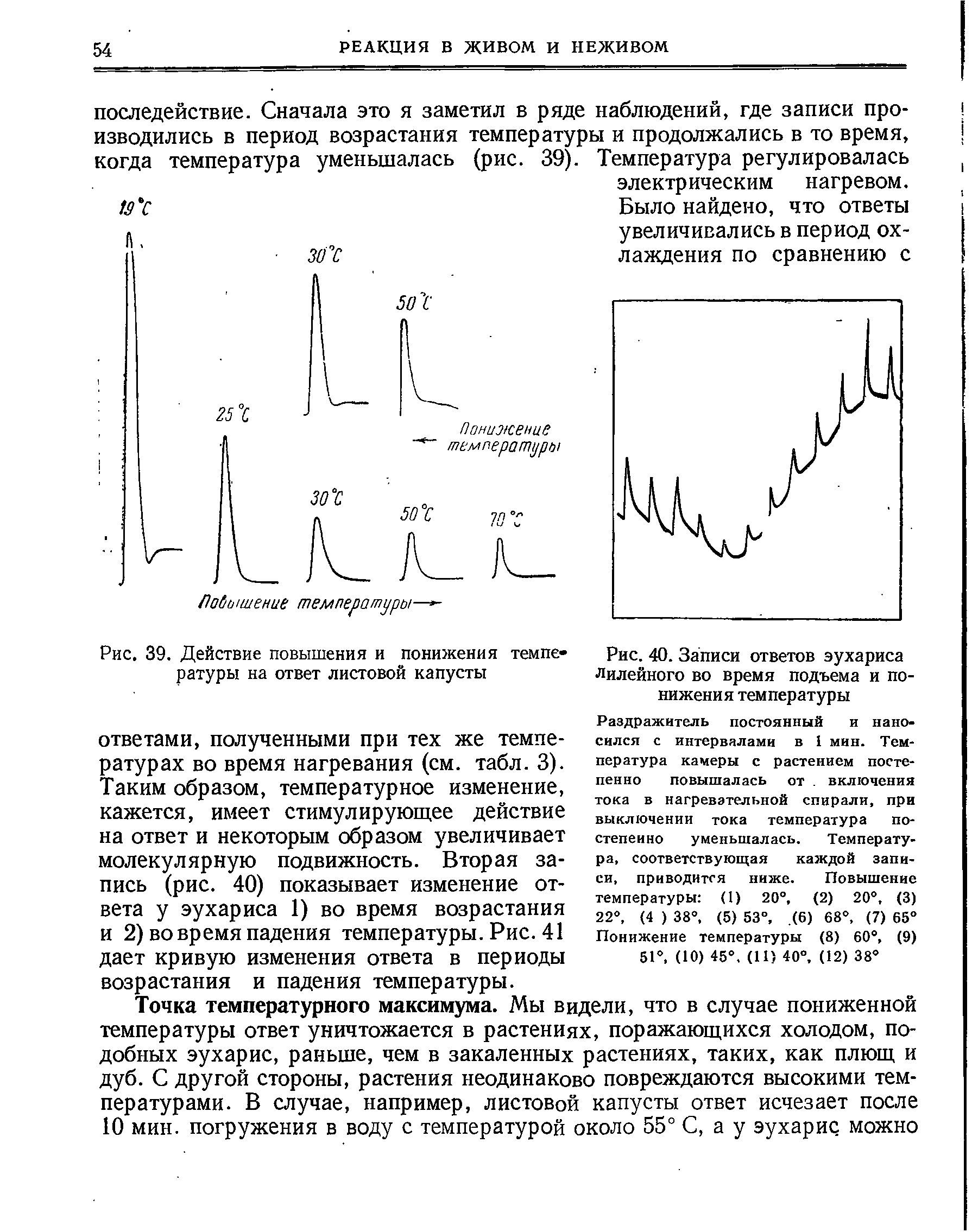 Рис. 40. Записи ответов эухариса Лилейного во время подъема и понижения температуры...