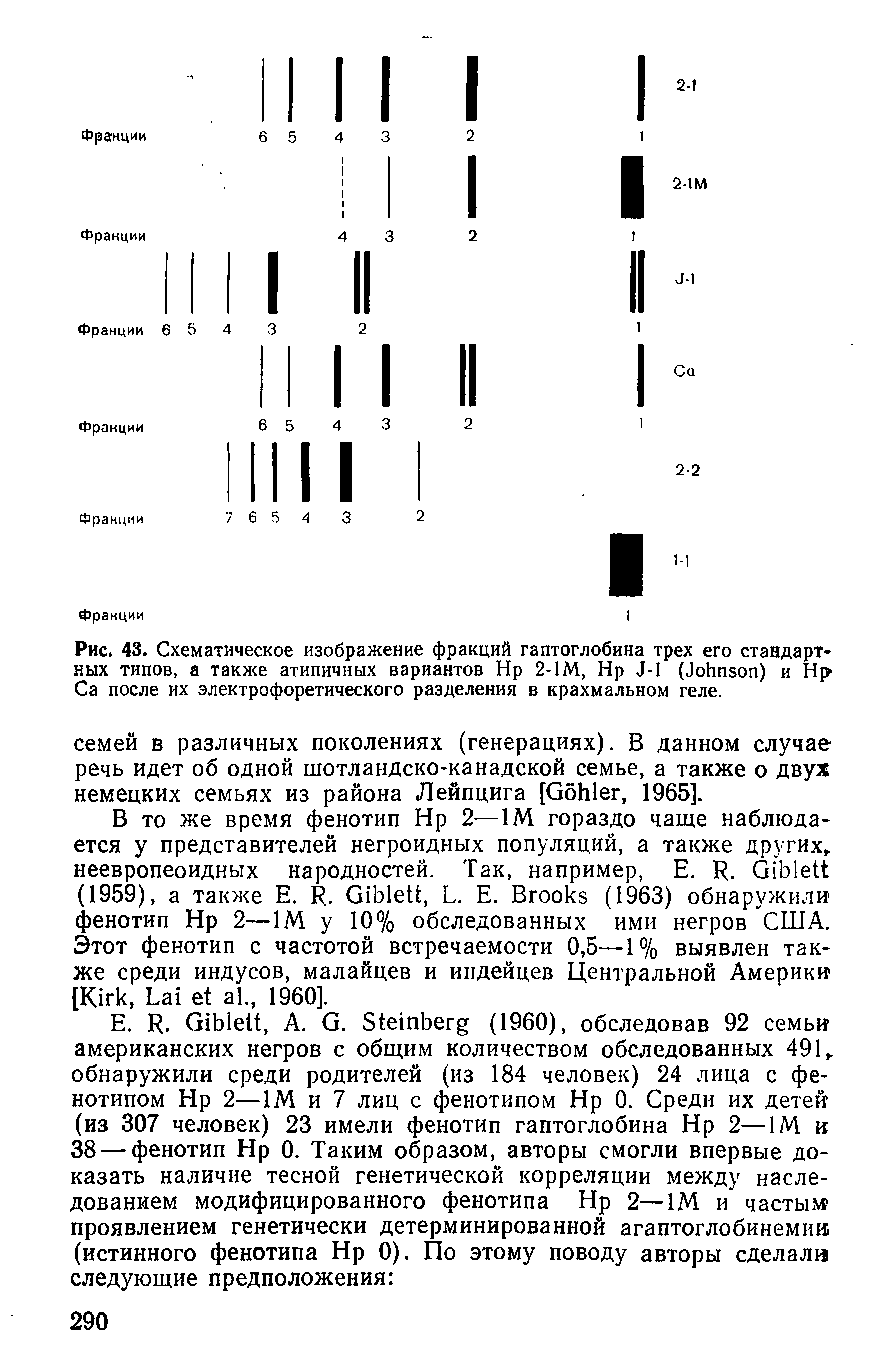 Рис. 43. Схематическое изображение фракций гаптоглобина трех его стандартных типов, а также атипичных вариантов Нр 2-1М, Нр Л-1 (ЛоИпвоп) и Нр Са после их электрофоретического разделения в крахмальном геле.