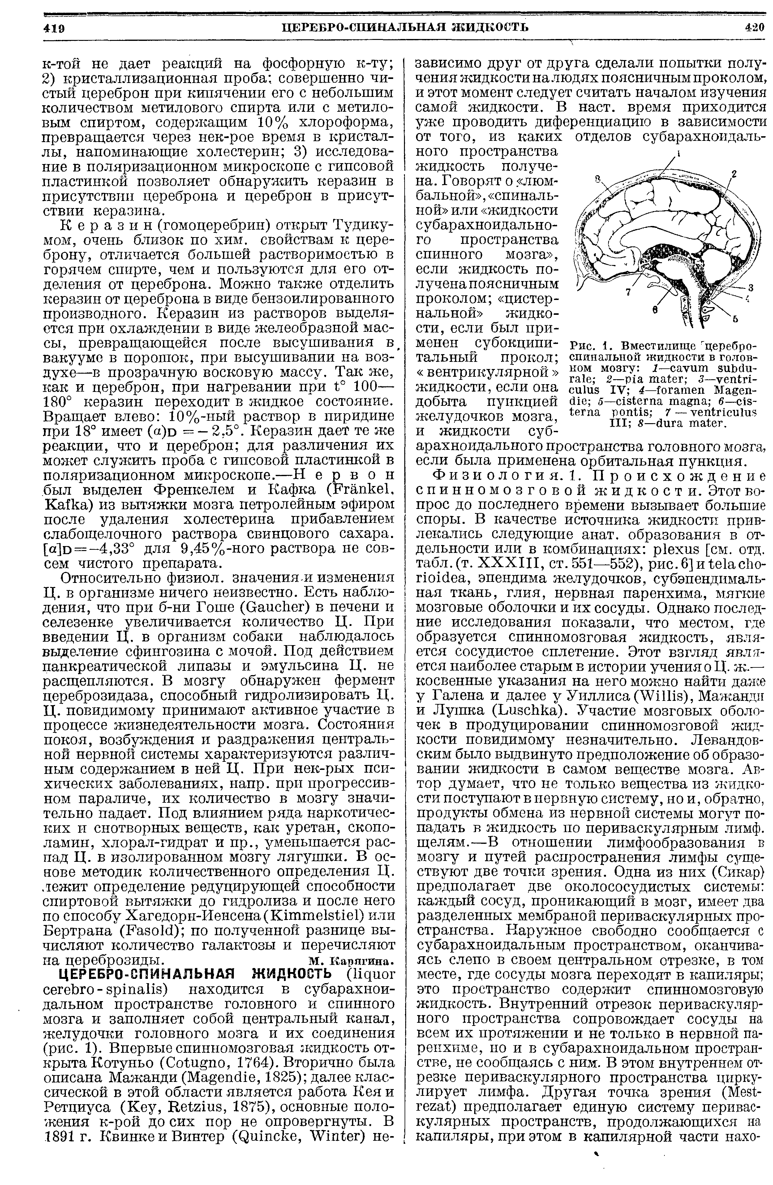 Рис. 1. Вместилище щеребро-спинальной жидкости в головном мозгу 1— ,- 2— 3— IV 4— M 5— 6— 7 — III 8— .