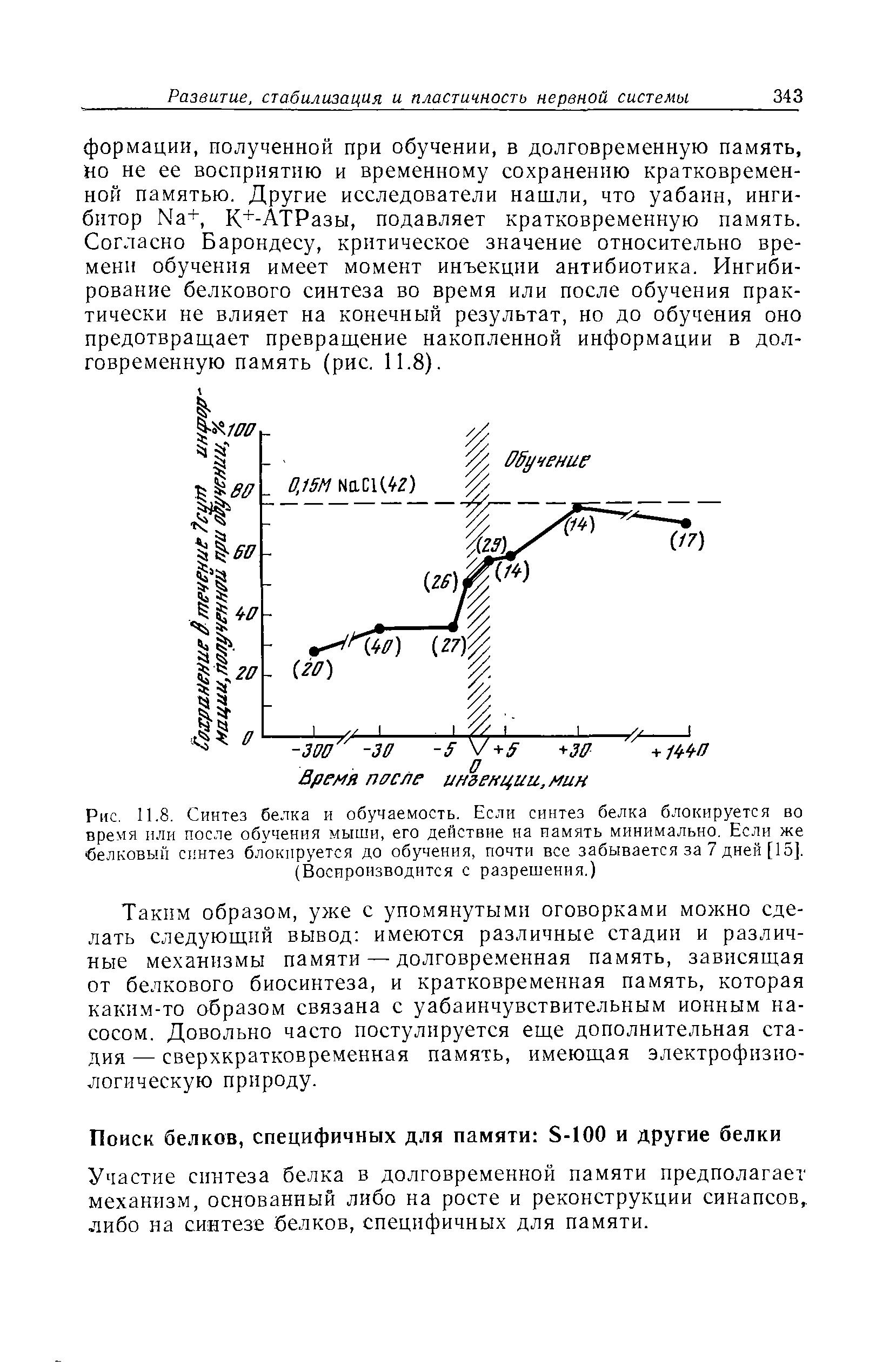 Рис. 11.8. Синтез белка и обучаемость. Если синтез белка блокируется во время или после обучения мыши, его действие на память минимально. Если же белковый синтез блокируется до обучения, почти все забывается за 7 дней [15].