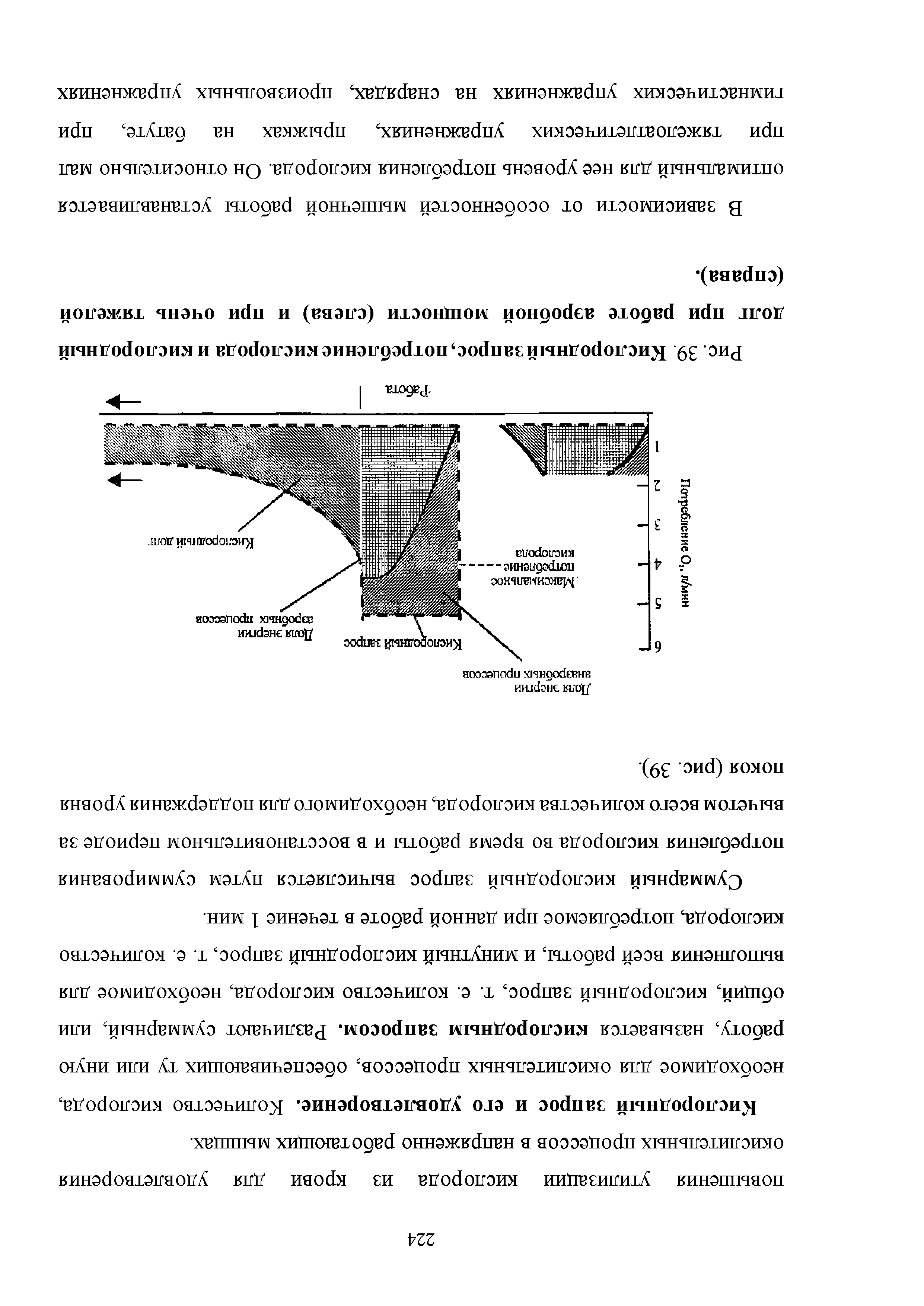 Рис. 39. Кислородный запрос, потребление кислорода и кислородный долг при работе аэробной мощности (слева) и при очень тяжелой (справа).