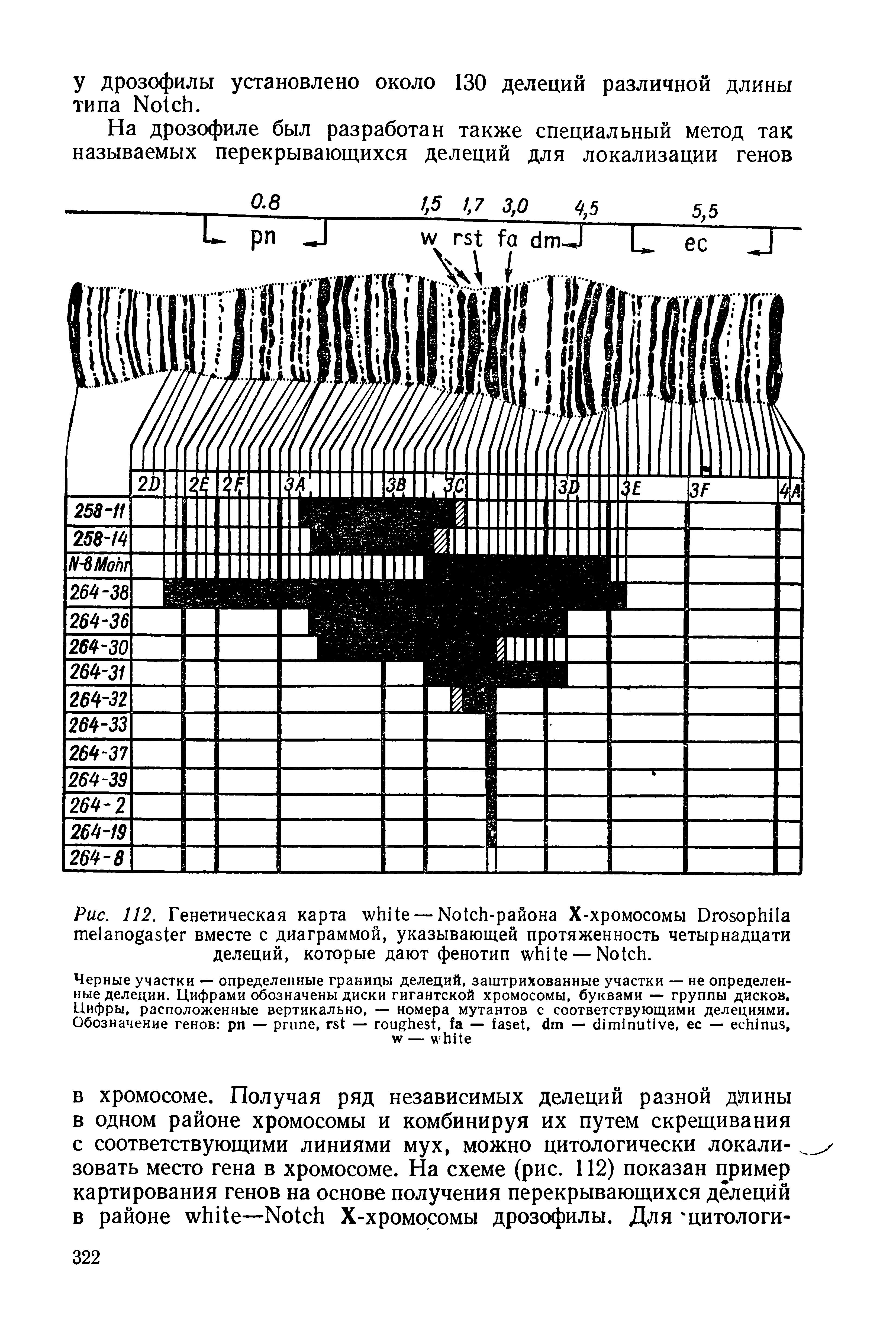 Рис. 112. Генетическая карта — N -района Х-хромосомы D вместе с диаграммой, указывающей протяженность четырнадцати делеций, которые дают фенотип — N .