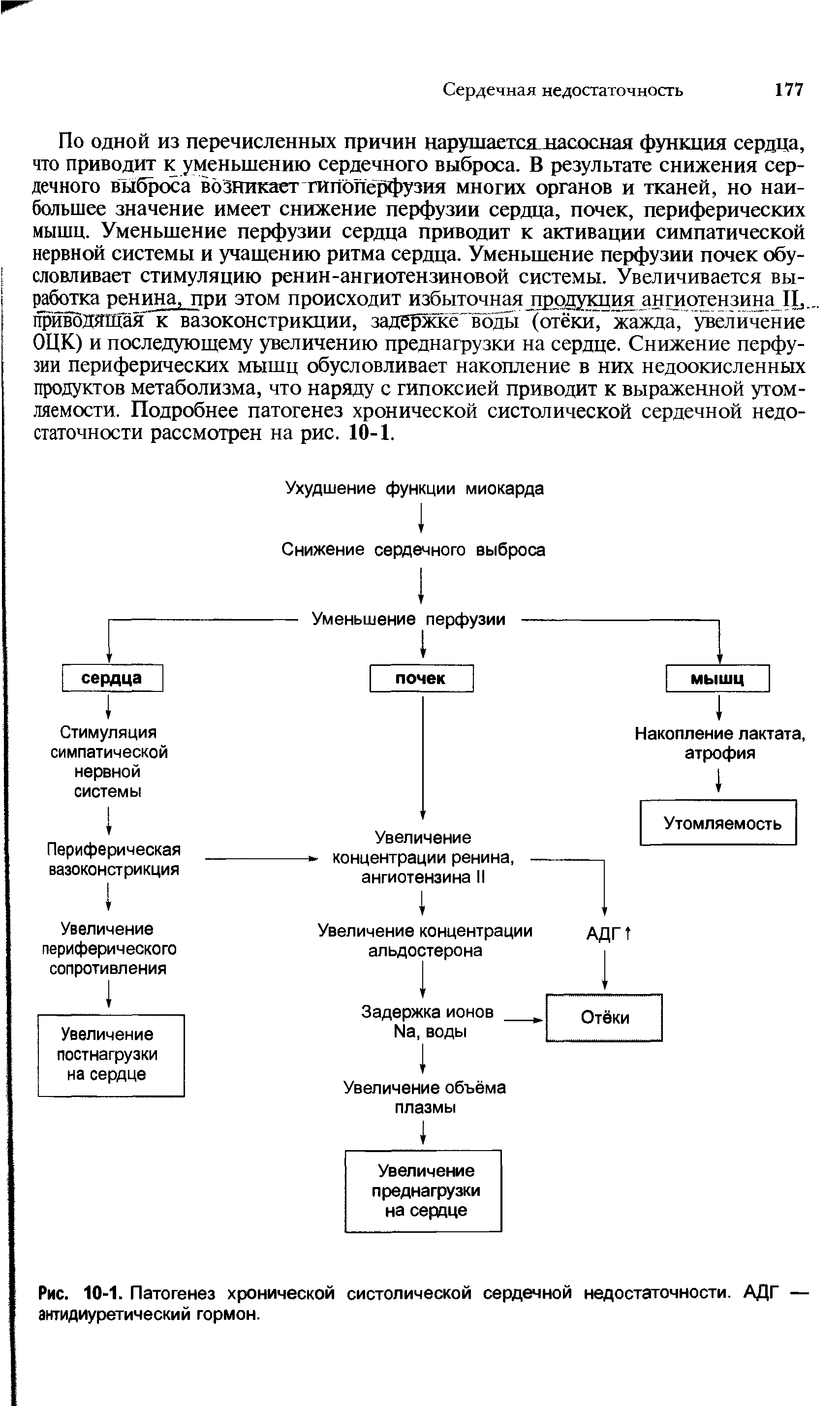 Рис. 10-1. Патогенез хронической систолической сердечной недостаточности. АДГ — антидиуретический гормон.