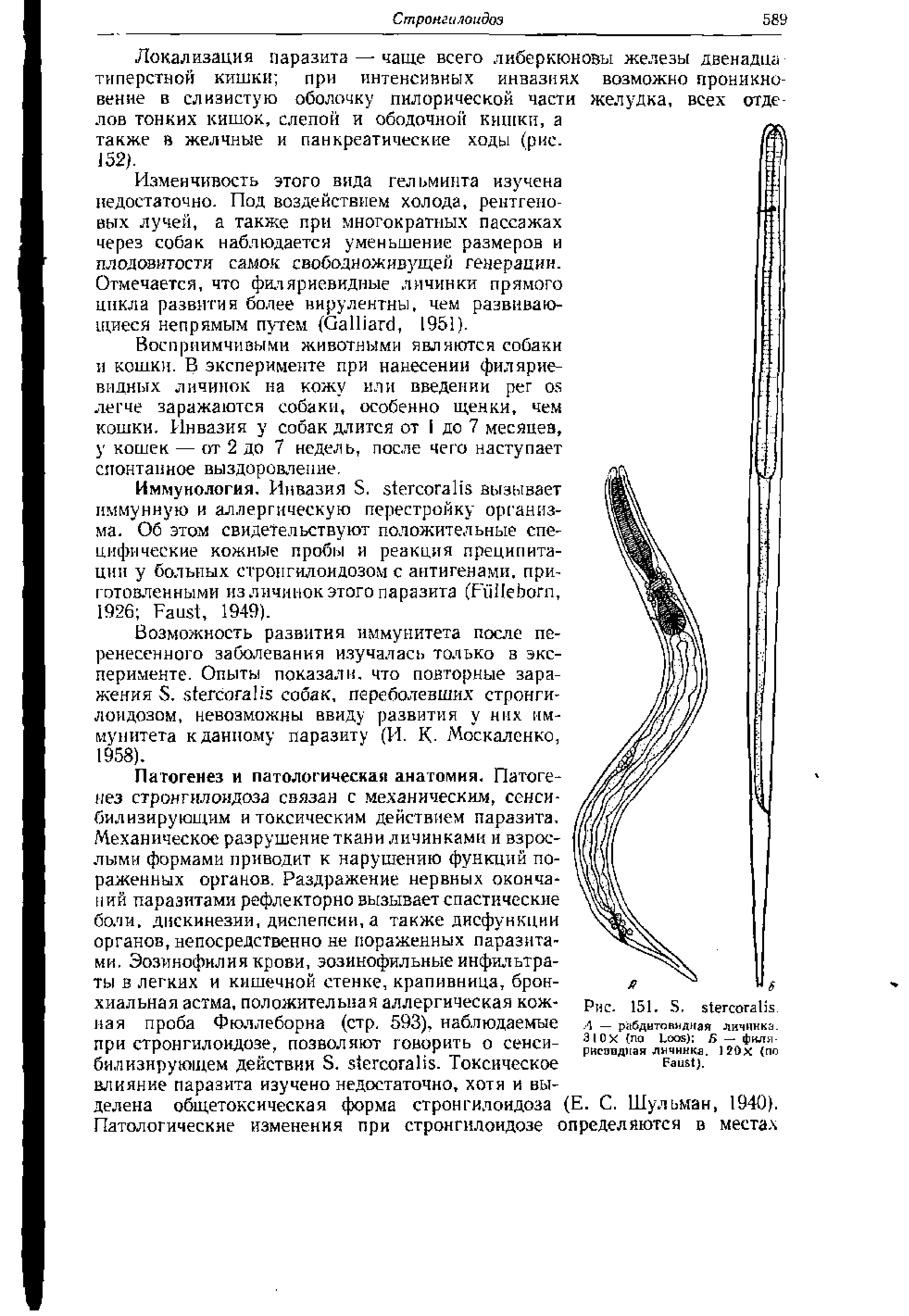 Рис. 151. S. Л — рабдитов дна я личинка. 3 I Ох па L ) Б — фкл -рвсовдпая личинка. 12 X (по...