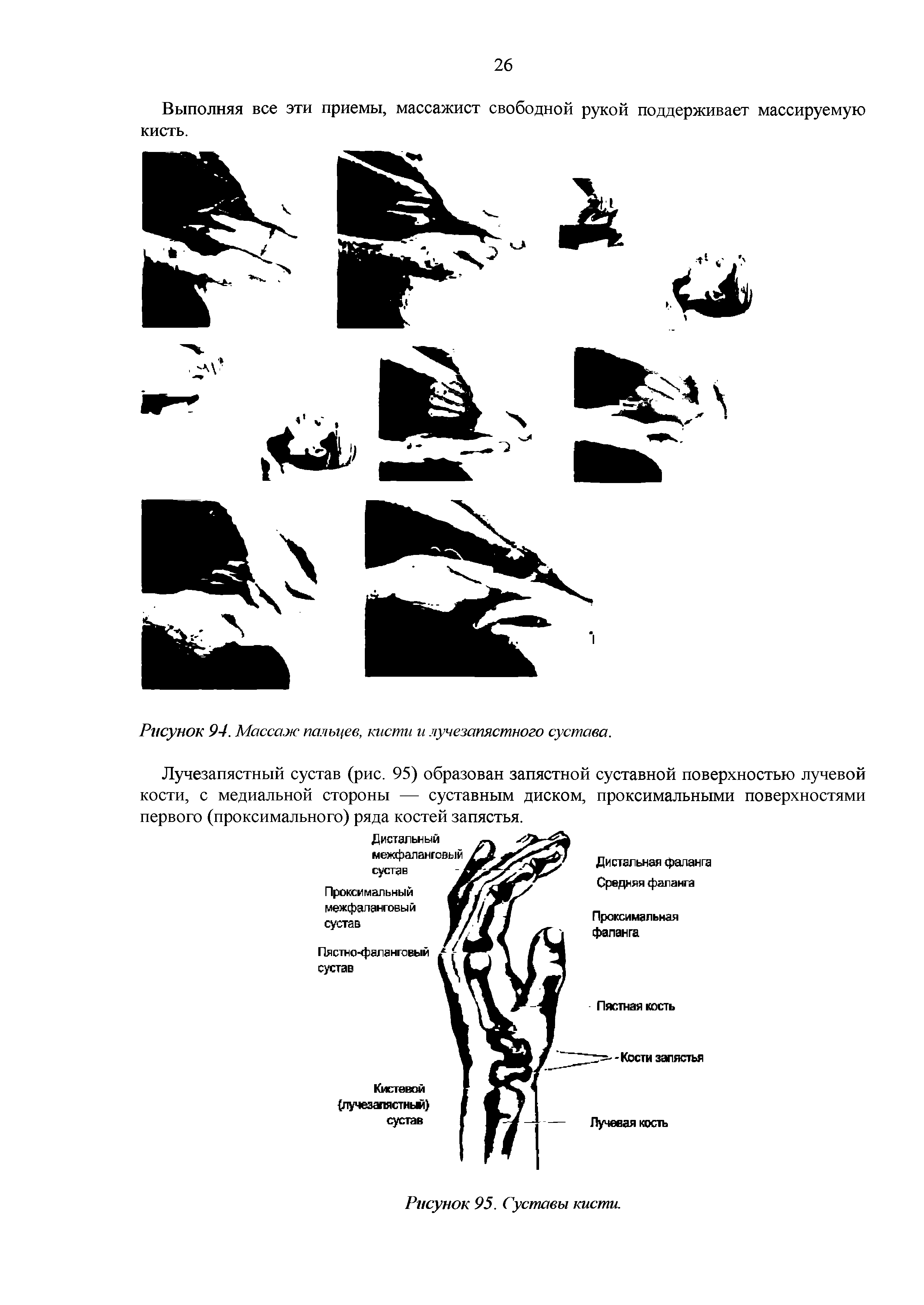 Рисунок 94. Массаж пальцев, кисти и лучезапястного сустава.