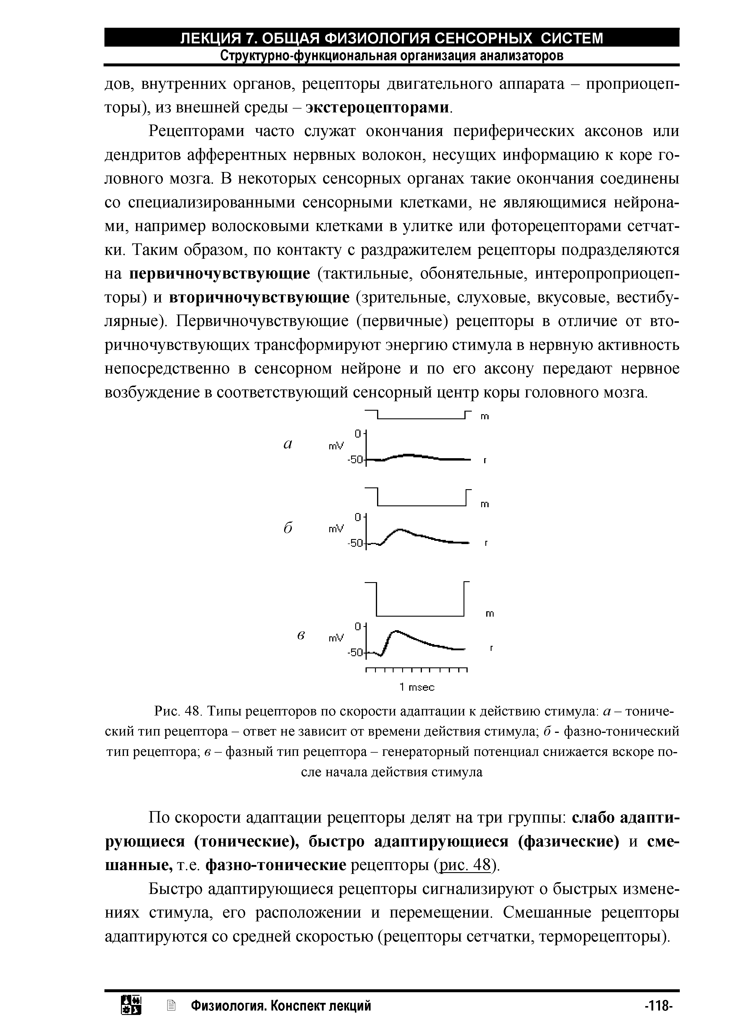 Рис. 48. Типы рецепторов по скорости адаптации к действию стимула а - тонический тип рецептора - ответ не зависит от времени действия стимула б - фазно-тонический тип рецептора в - фазный тип рецептора - генераторный потенциал снижается вскоре после начала действия стимула...