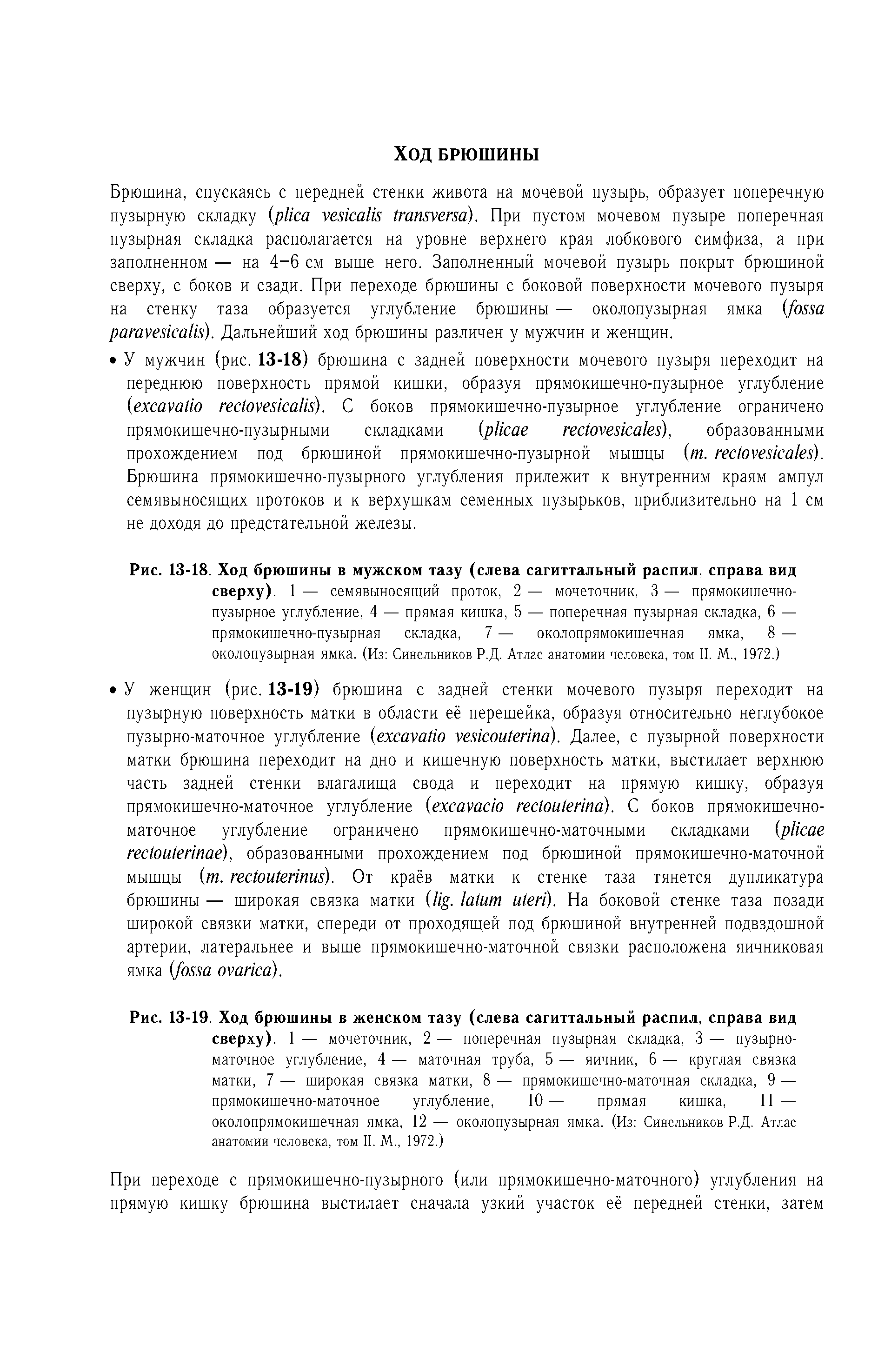 Рис. 13-18. Ход брюшины в мужском тазу (слева сагиттальный распил, справа вид сверху). 1 — семявыносящий проток, 2 — мочеточник, 3 — прямокишечно-пузырное углубление, 4 — прямая кишка, 5 — поперечная пузырная складка, 6 — прямокишечно-пузырная складка, 7 — околопрямокишечная ямка, 8 — околопузырная ямка. (Из Синельников Р.Д. Атлас анатомии человека, том II. М., 1972.)...