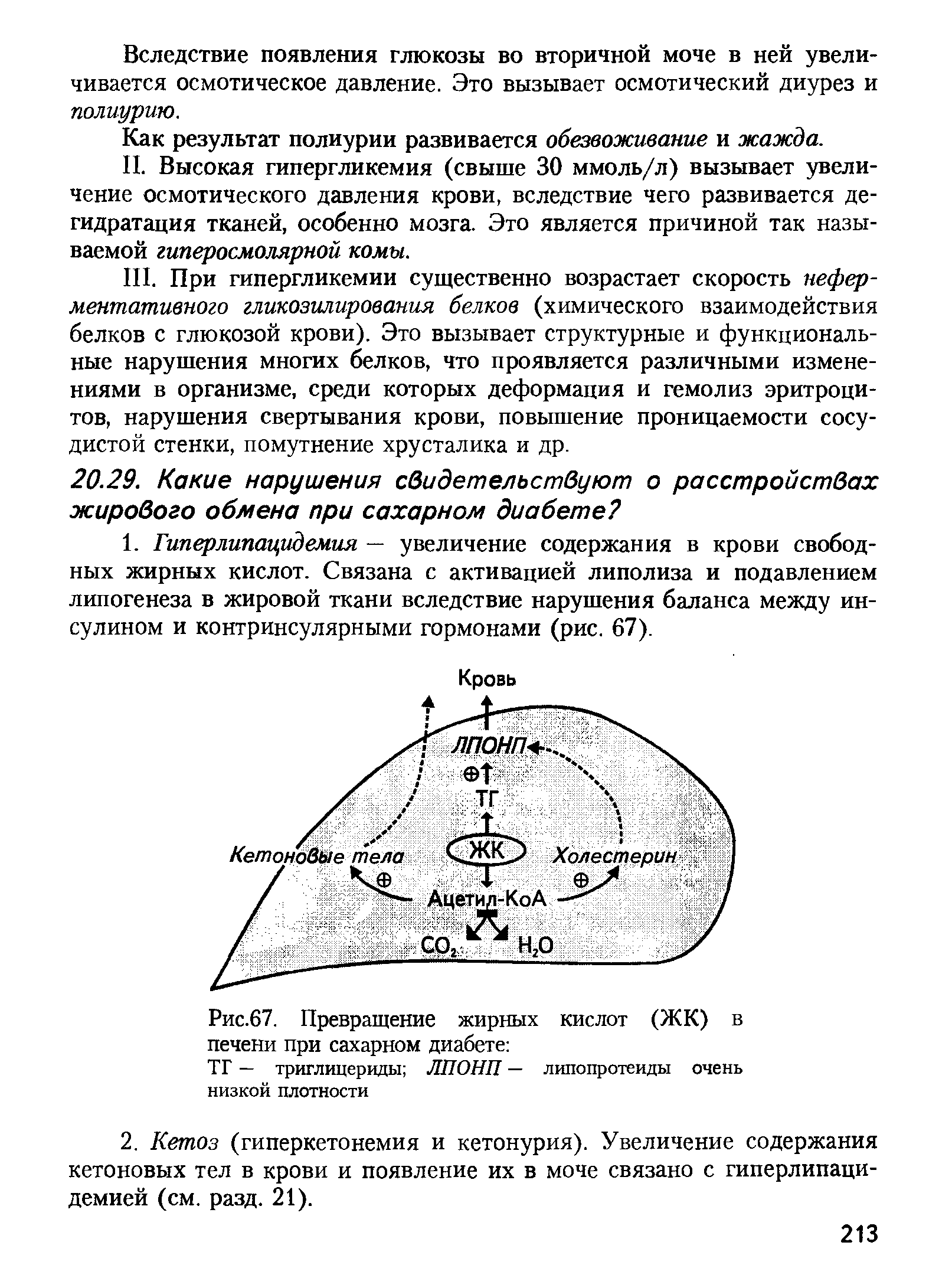 Рис.67. Превращение жирных кислот (ЖК) в печени при сахарном диабете ...