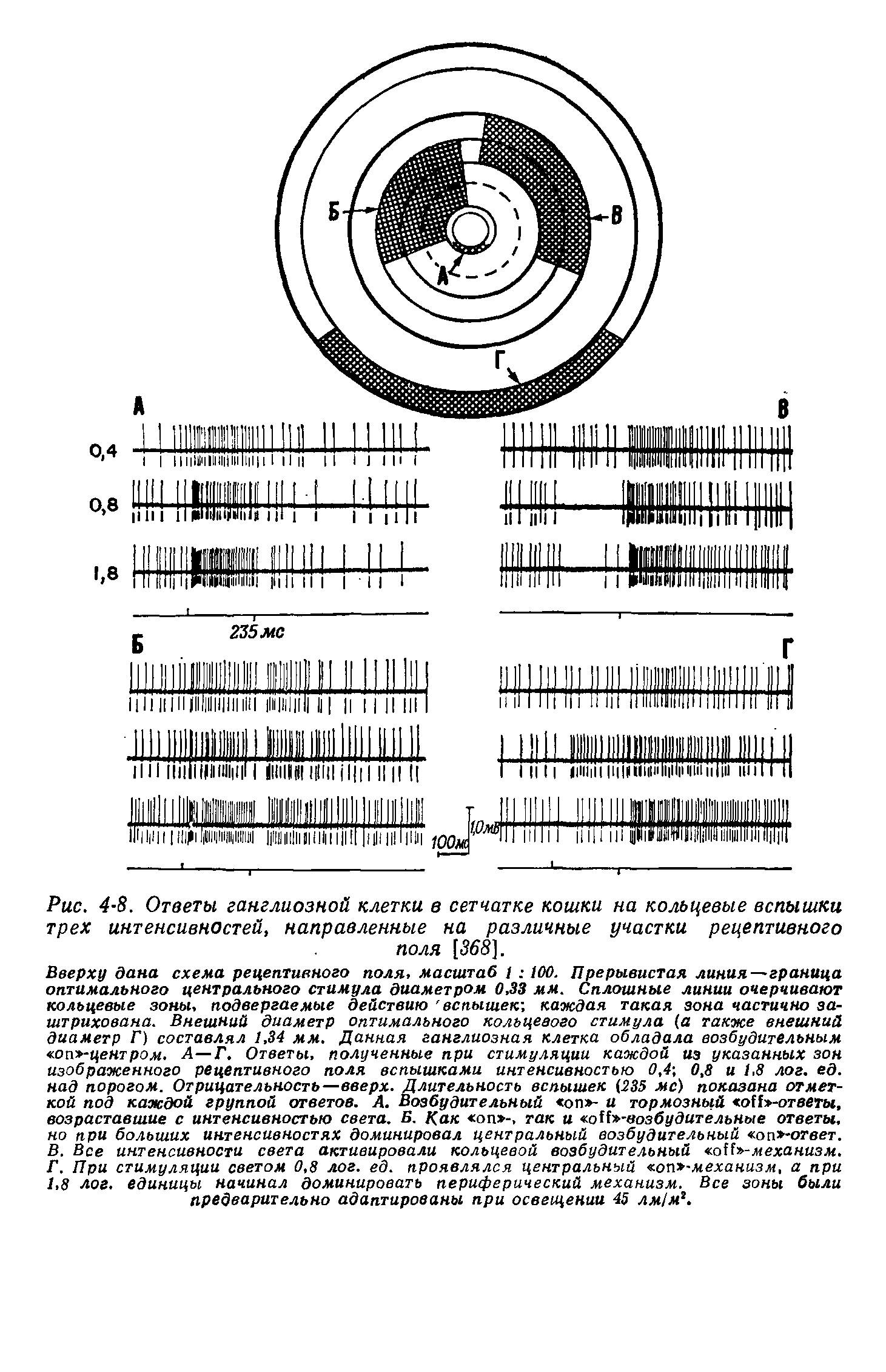 Рис. 4-8. Ответы ганглиозной клетки в сетчатке кошки на кольцевые вспышки трех интенсивностей, направленные на различные участки рецептивного поля [36S],...