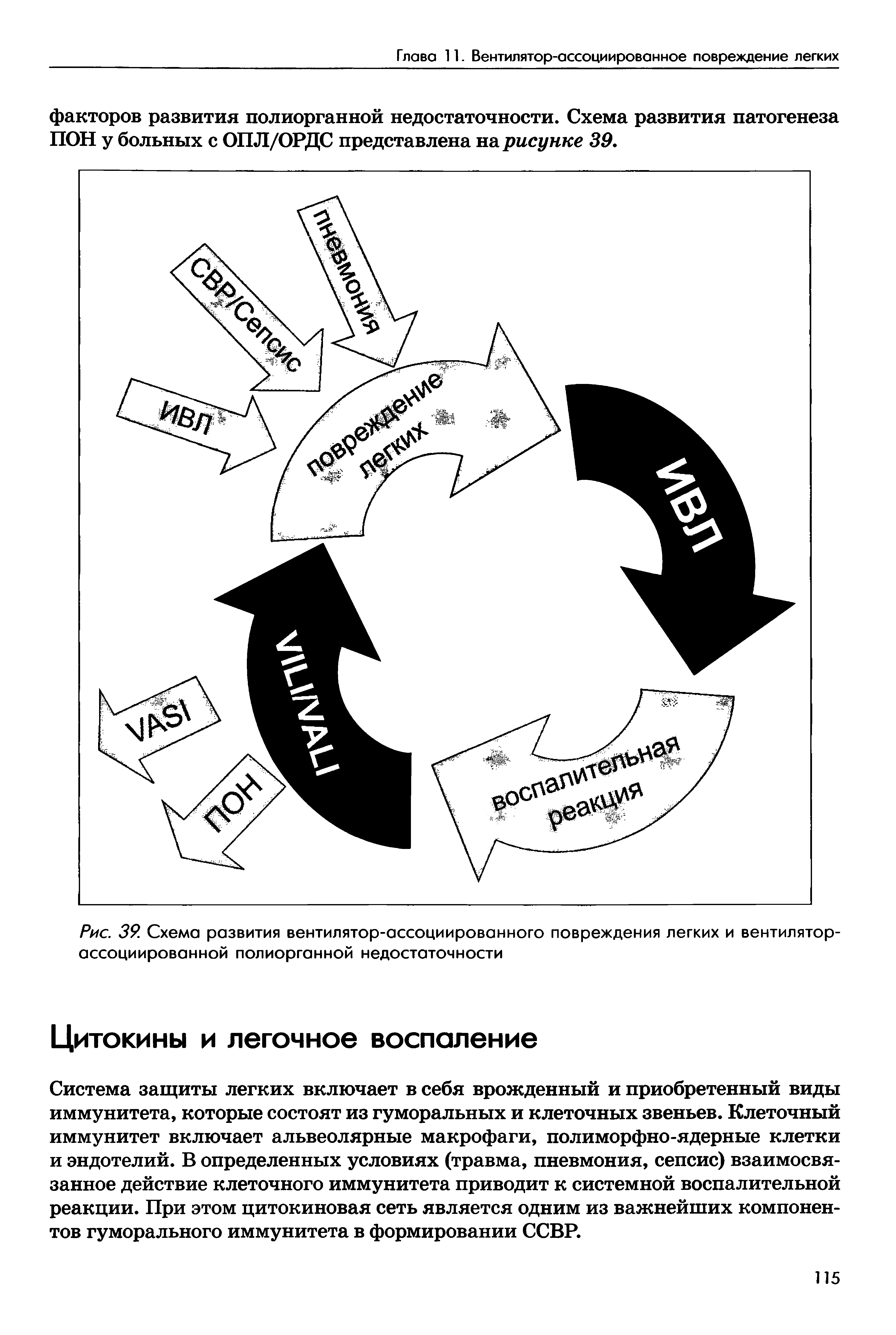 Рис. 39. Схема развития вентилятор-ассоциированного повреждения легких и вентилятор-ассоциированной полиорганной недостаточности...