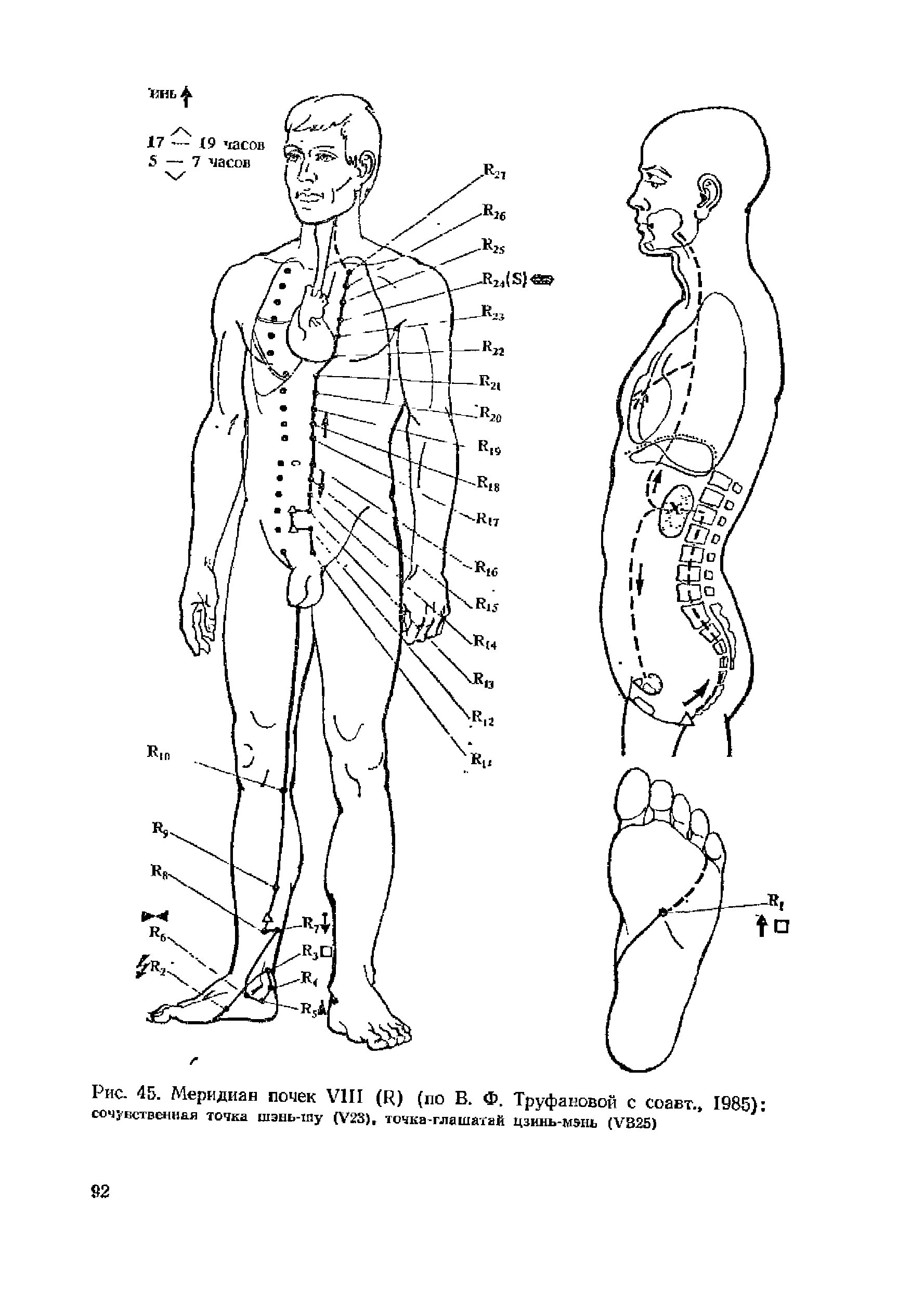 Рис. 45. Меридиан почек VIII (R) (по В. Ф. Труфановой с соавт., 1985) сочувственная точка шэнь-тпу (V23), точка-глашатай цзинь-мэнь (VB2S)...