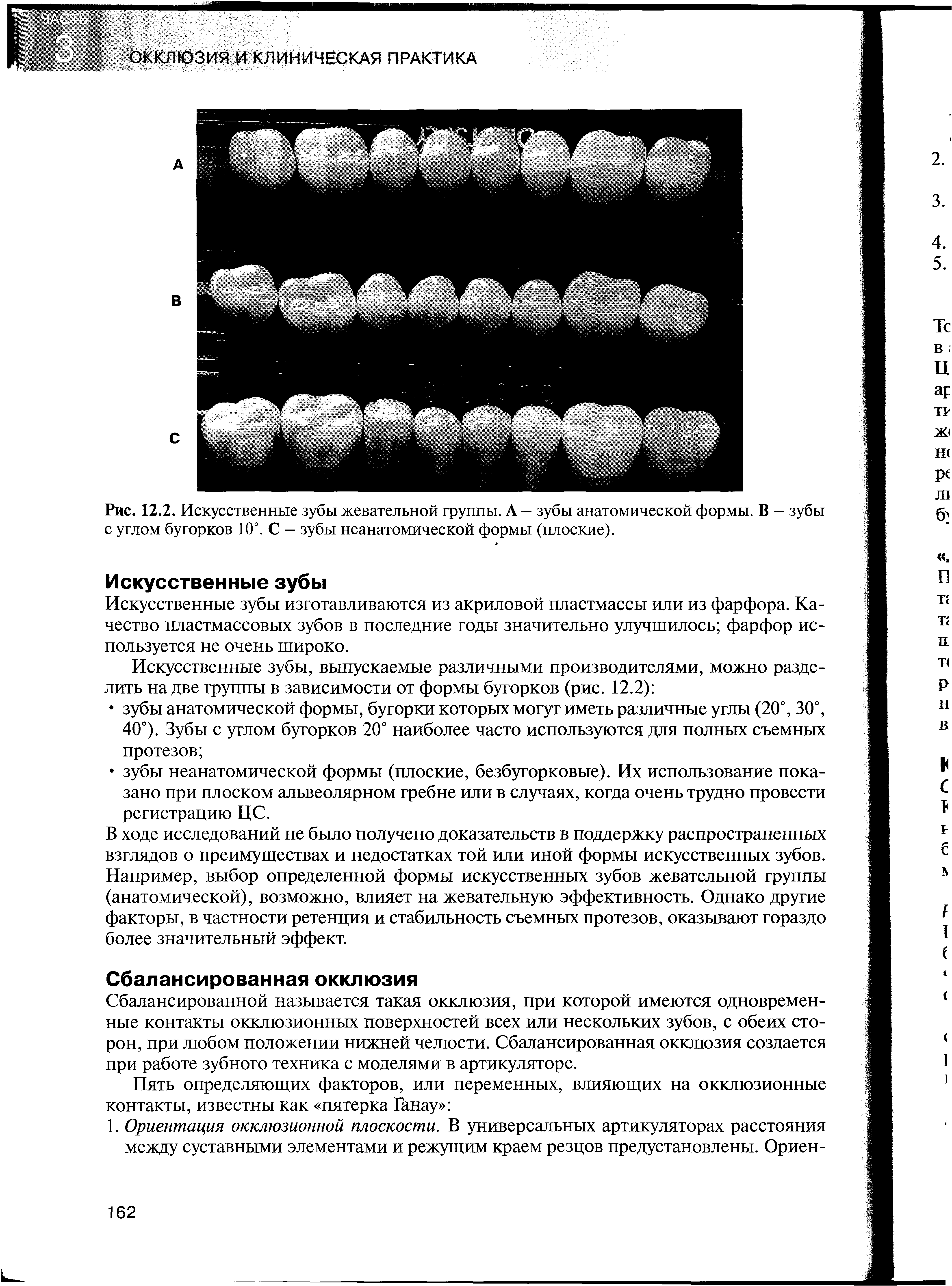 Рис. 12.2. Искусственные зубы жевательной группы. А — зубы анатомической формы. В — зубы с углом бугорков 10°. С — зубы неанатомической формы (плоские).
