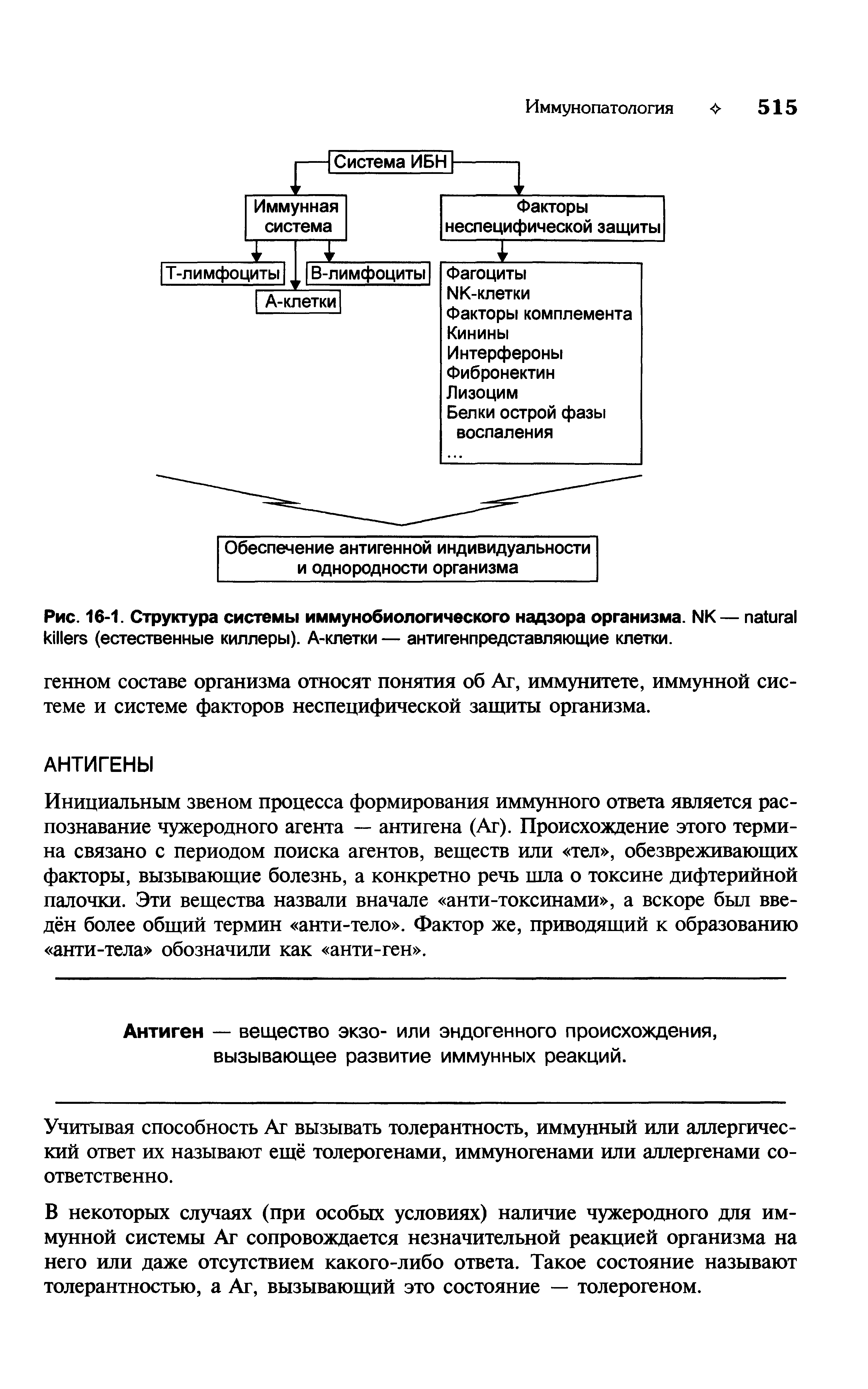 Рис. 16-1. Структура системы иммунобиологического надзора организма. NK— (естественные киллеры). А-клетки — антигенпредставляющие клетки.