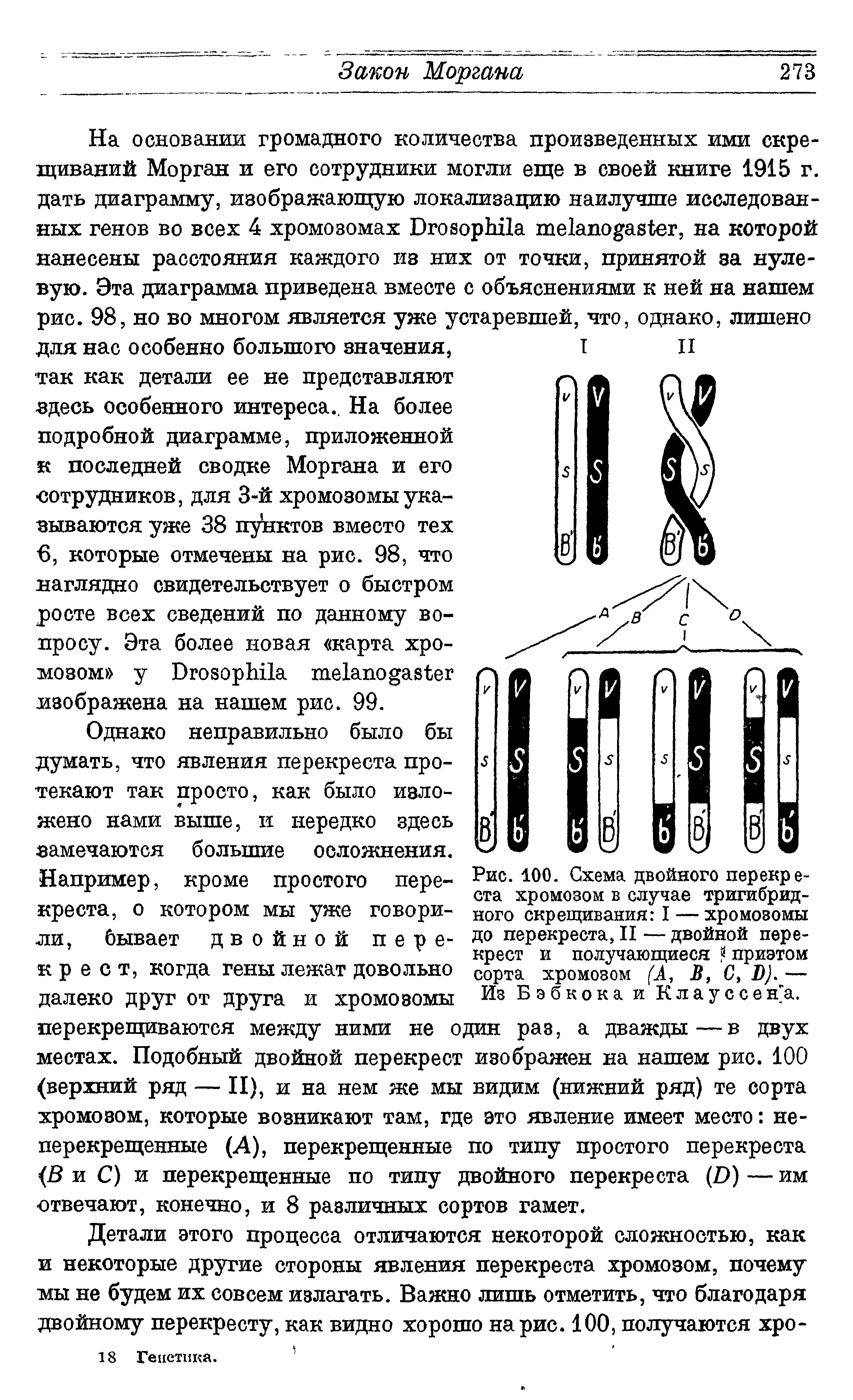 Рис. 100. Схема двойного перекреста хромозом в случае тригибрид-ного скрещивания I — хромозомы до перекреста, II — двойной перекрест и получающиеся приэтом сорта хромозом (X В, С> I)). — Из Бэбкока и Клауссен а.