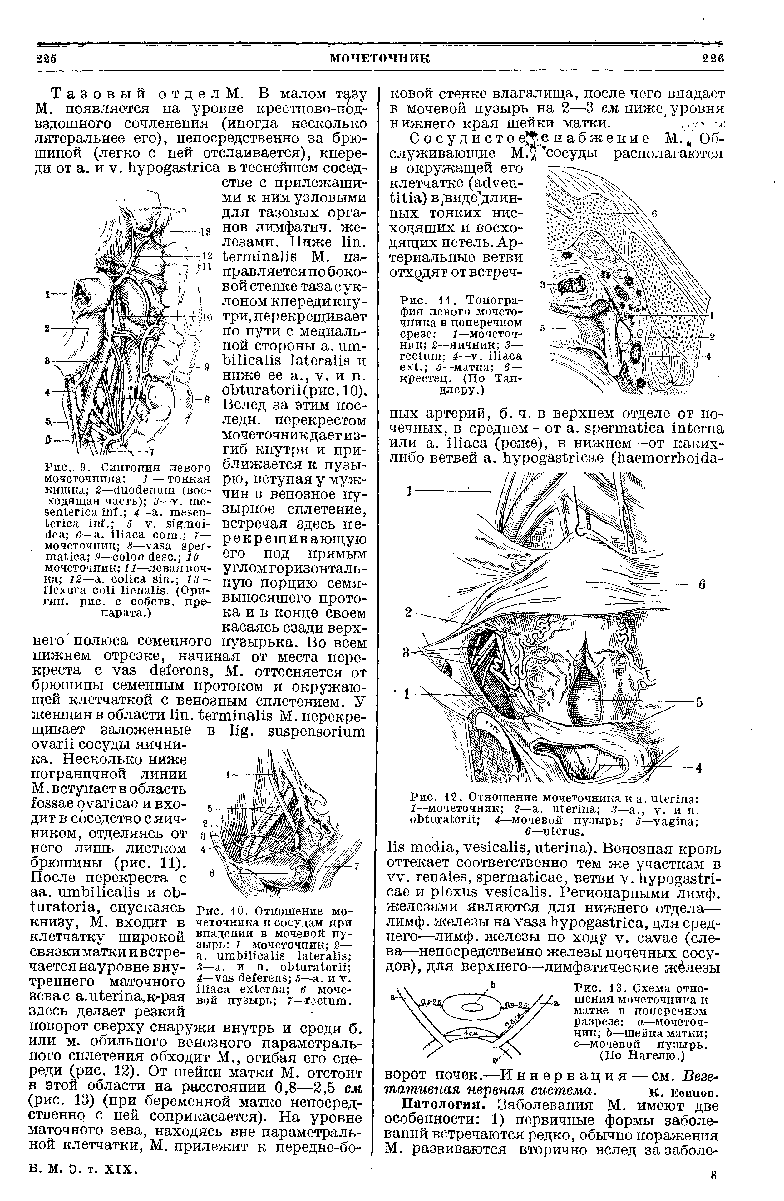 Рис. 13. Схема отношения мочеточника к матке в поперечном разрезе а—мочеточник Ь—шейка матки с—мочевой пузырь.