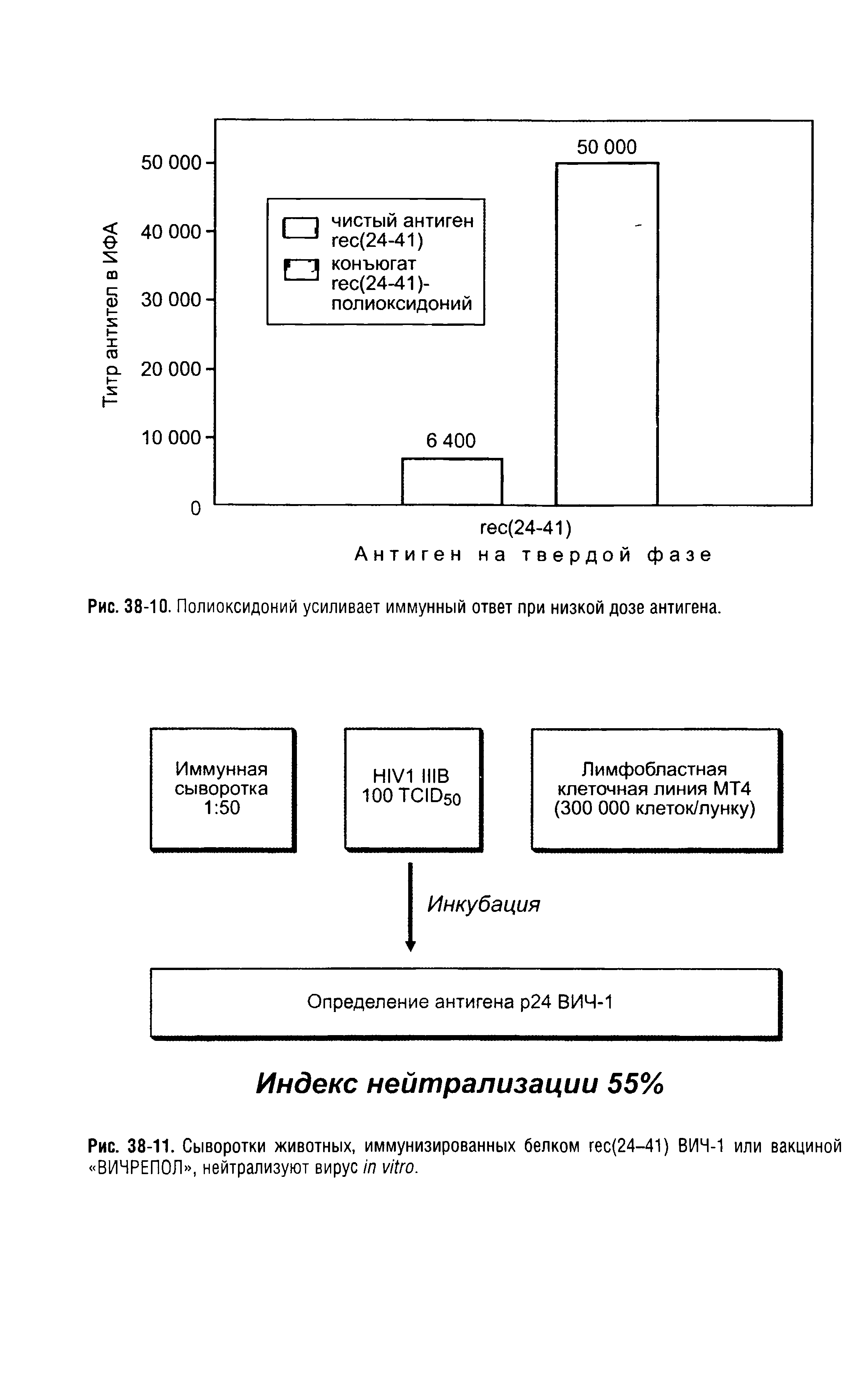 Рис. 38-11. Сыворотки животных, иммунизированных белком гес(24-41) ВИЧ-1 или вакциной ВИЧРЕПОЛ , нейтрализуют вирус .