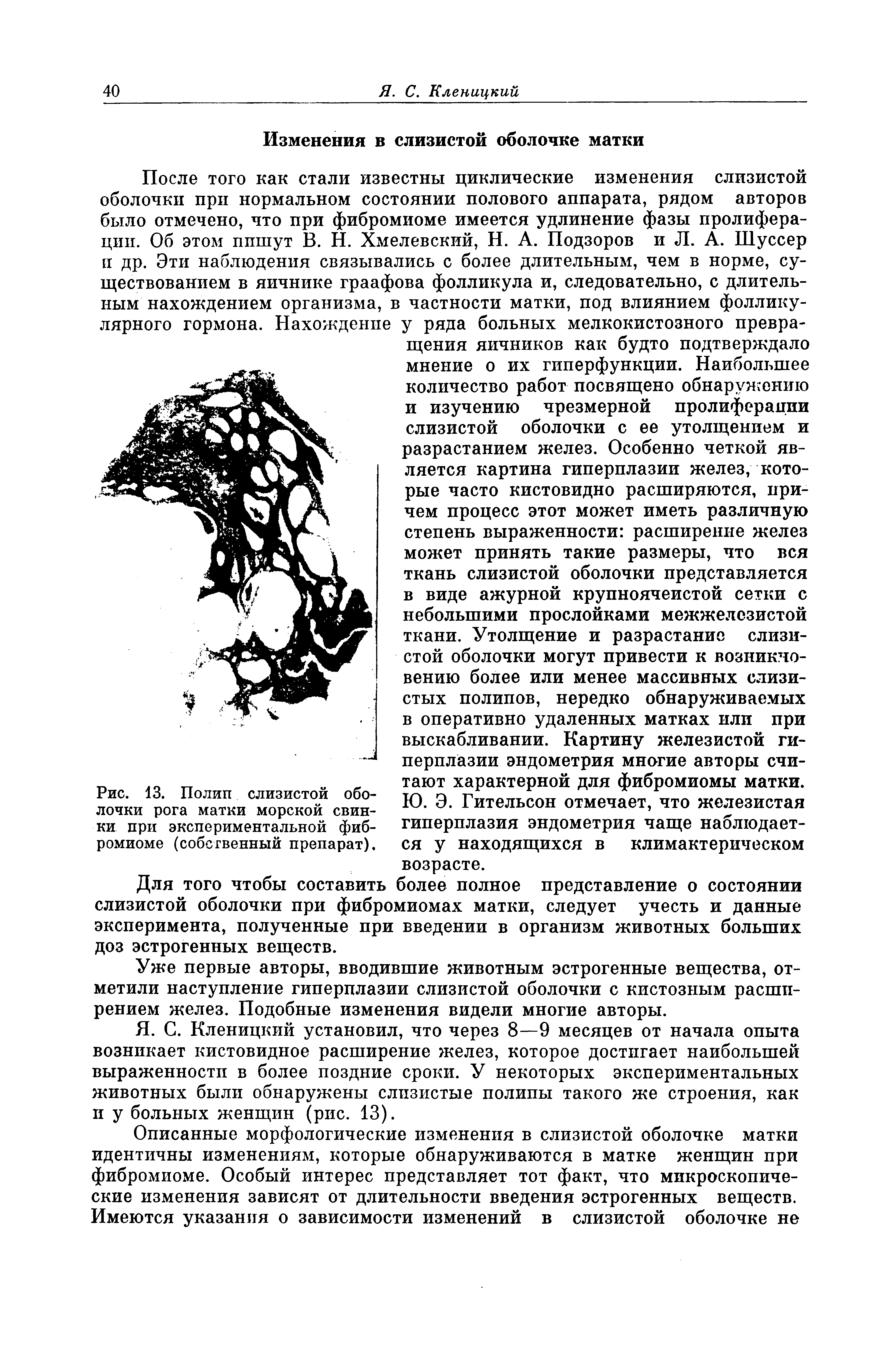 Рис. 13. Полип слизистой оболочки рога матки морской свинки при экспериментальной фибромиоме (собственный препарат).