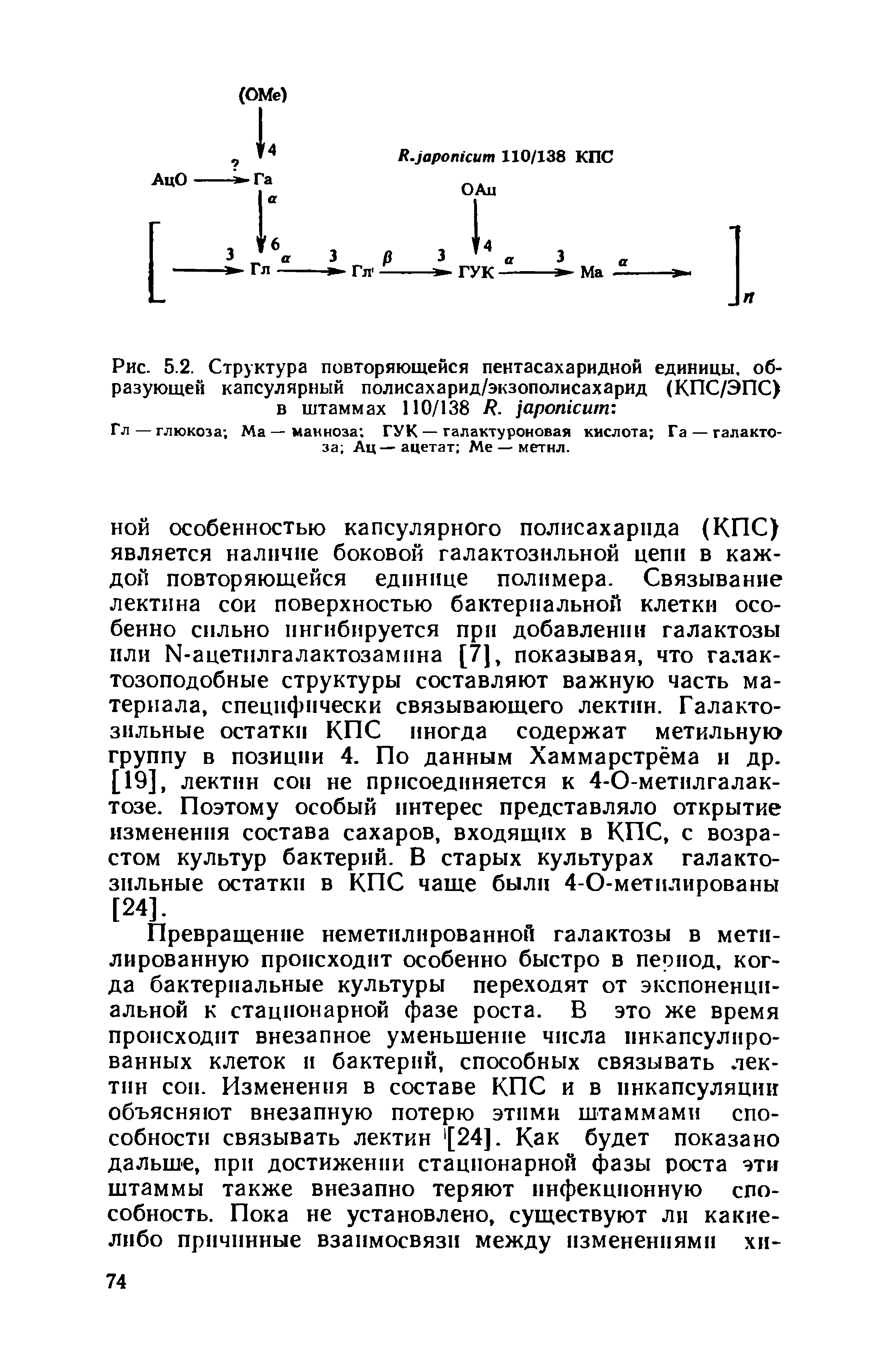 Рис. 5.2. Структура повторяющейся пентасахаридной единицы, образующей капсулярный полисахарид/экзополисахарид (КПС/ЭПС) в штаммах 110/138 / . аротсит ...