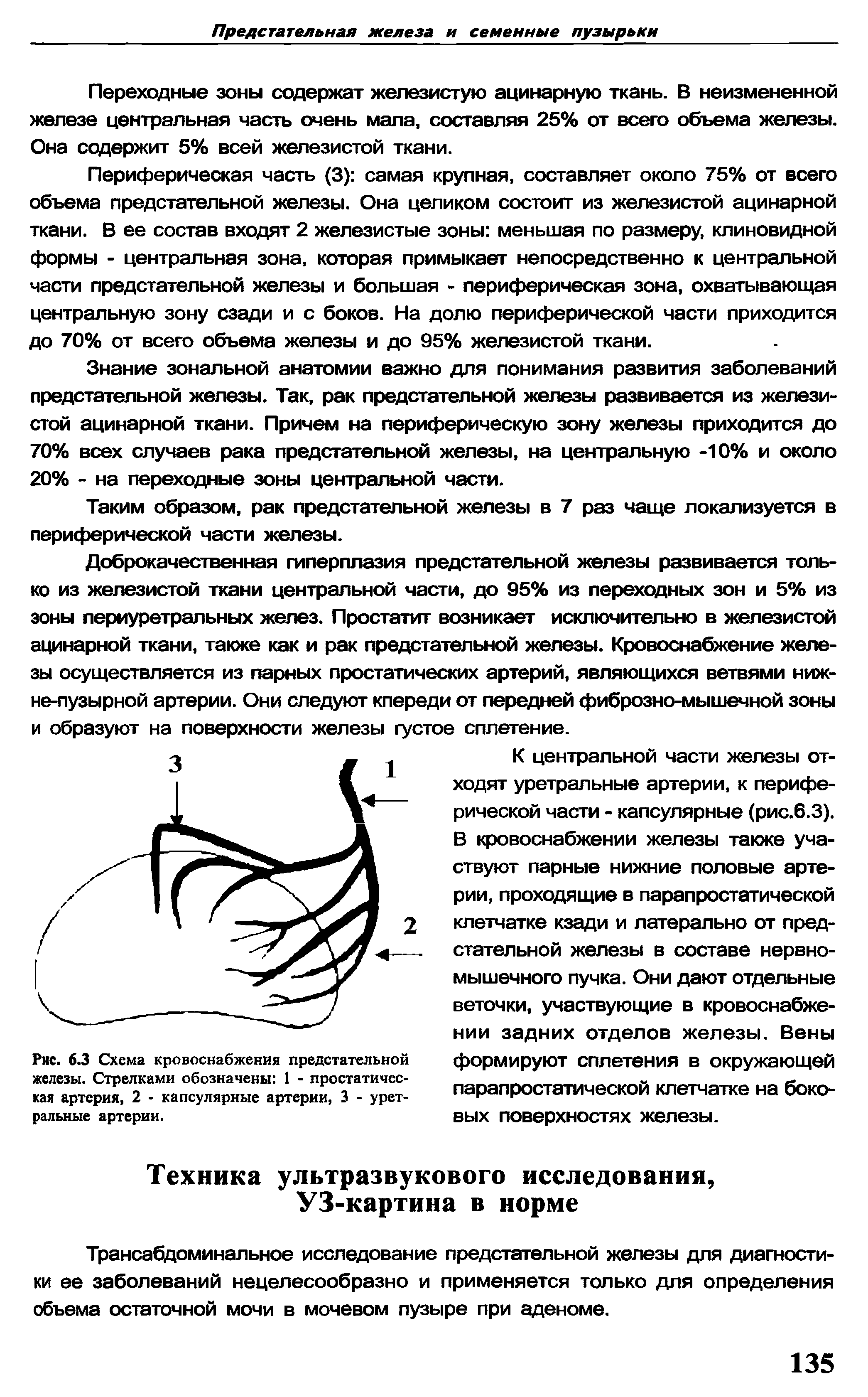 Рис. 6.3 Схема кровоснабжения предстательной железы. Стрелками обозначены 1 - простатическая артерия, 2 - капсулярные артерии, 3 - уретральные артерии.