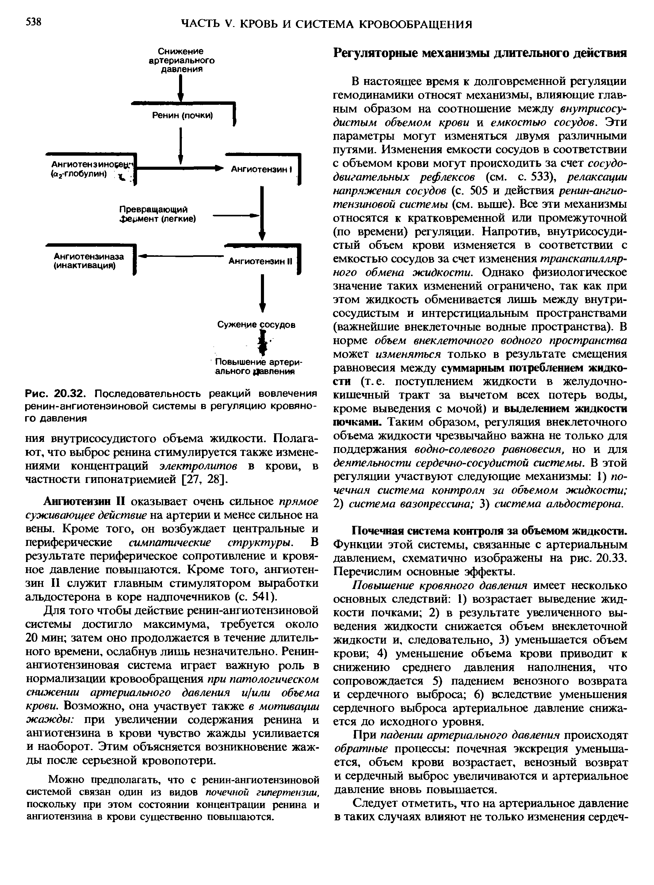 Рис. 20.32. Последовательность реакций вовлечения ренин-ангиотенэиновой системы в регуляцию кровяного давления...